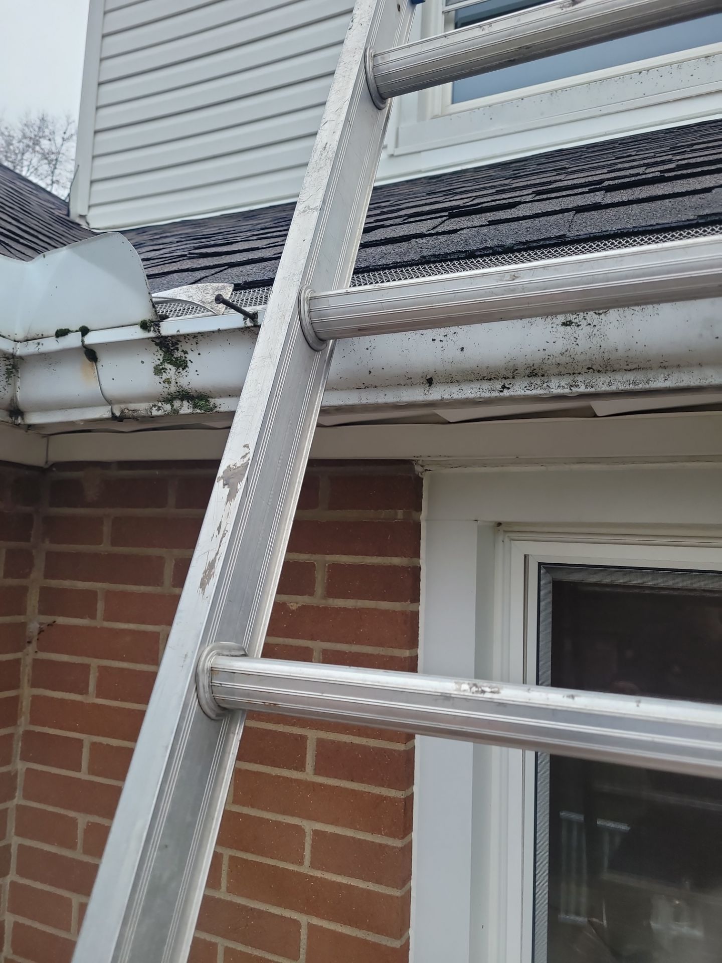 Scott Gould by Silver Leaf Contracting 