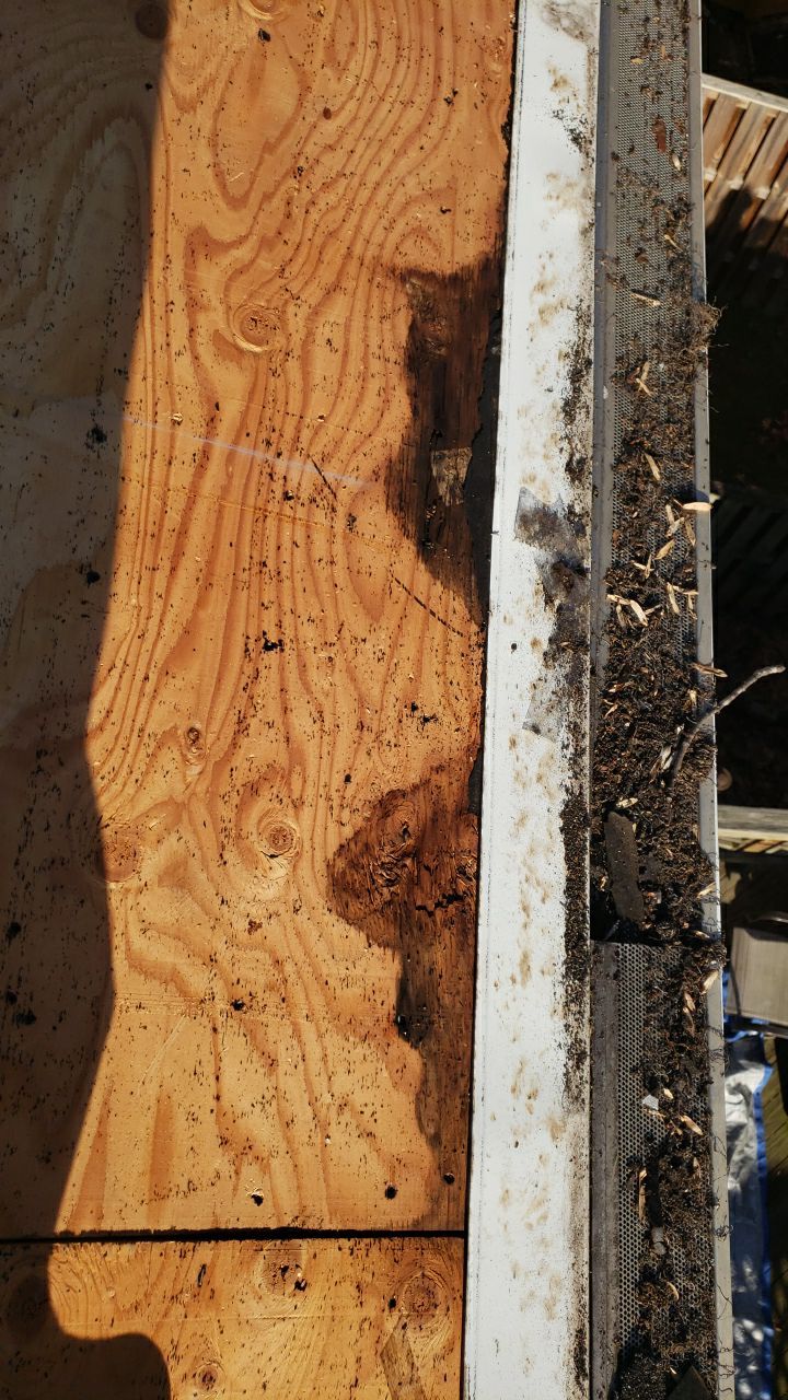 Springfield: CertainTeed Landmark Pro Designer Shingles in Max Def Pewterwood by RM Banning, Inc.