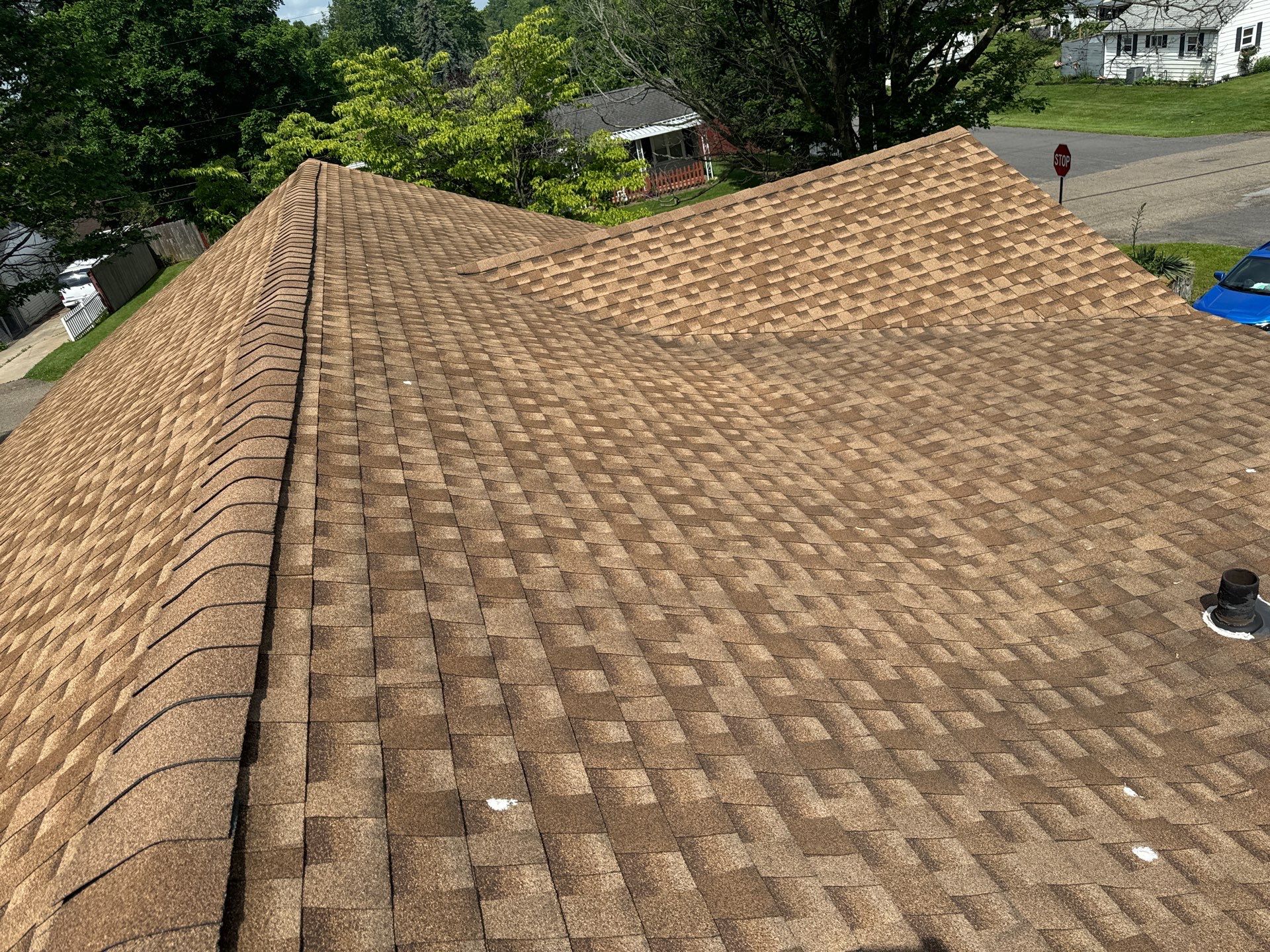 Angenita Daniels by Silver Leaf Contracting 