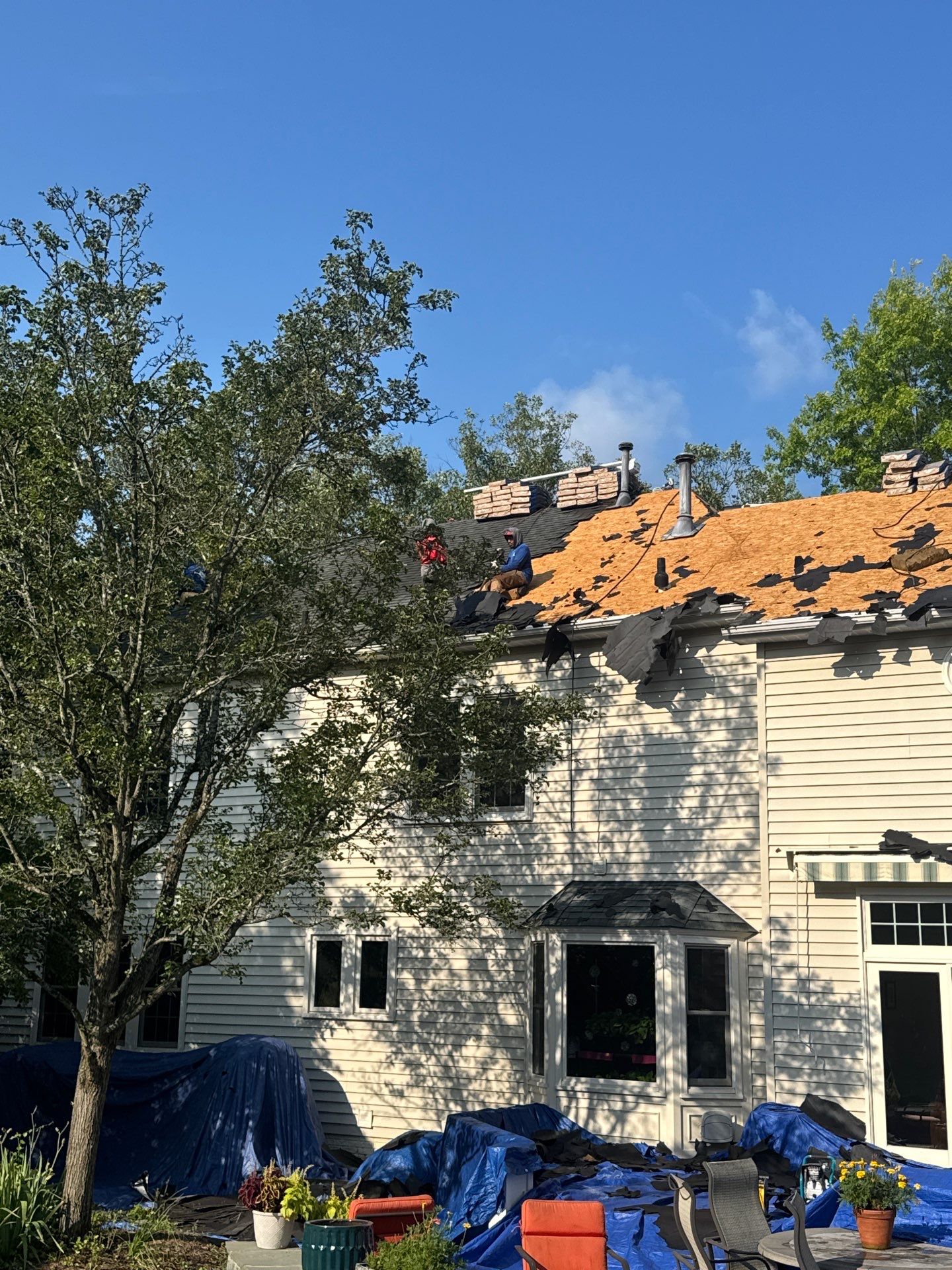 New Shingle Roof & New Gutters and downspouts with covers by Alpha Design Services