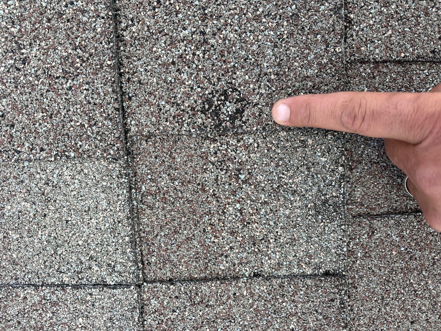 CertainTeed Landmark Roof, Mastic Siding & Edco Gutters | Insurance Approved | Big Lake, MN by First Impressions Exteriors