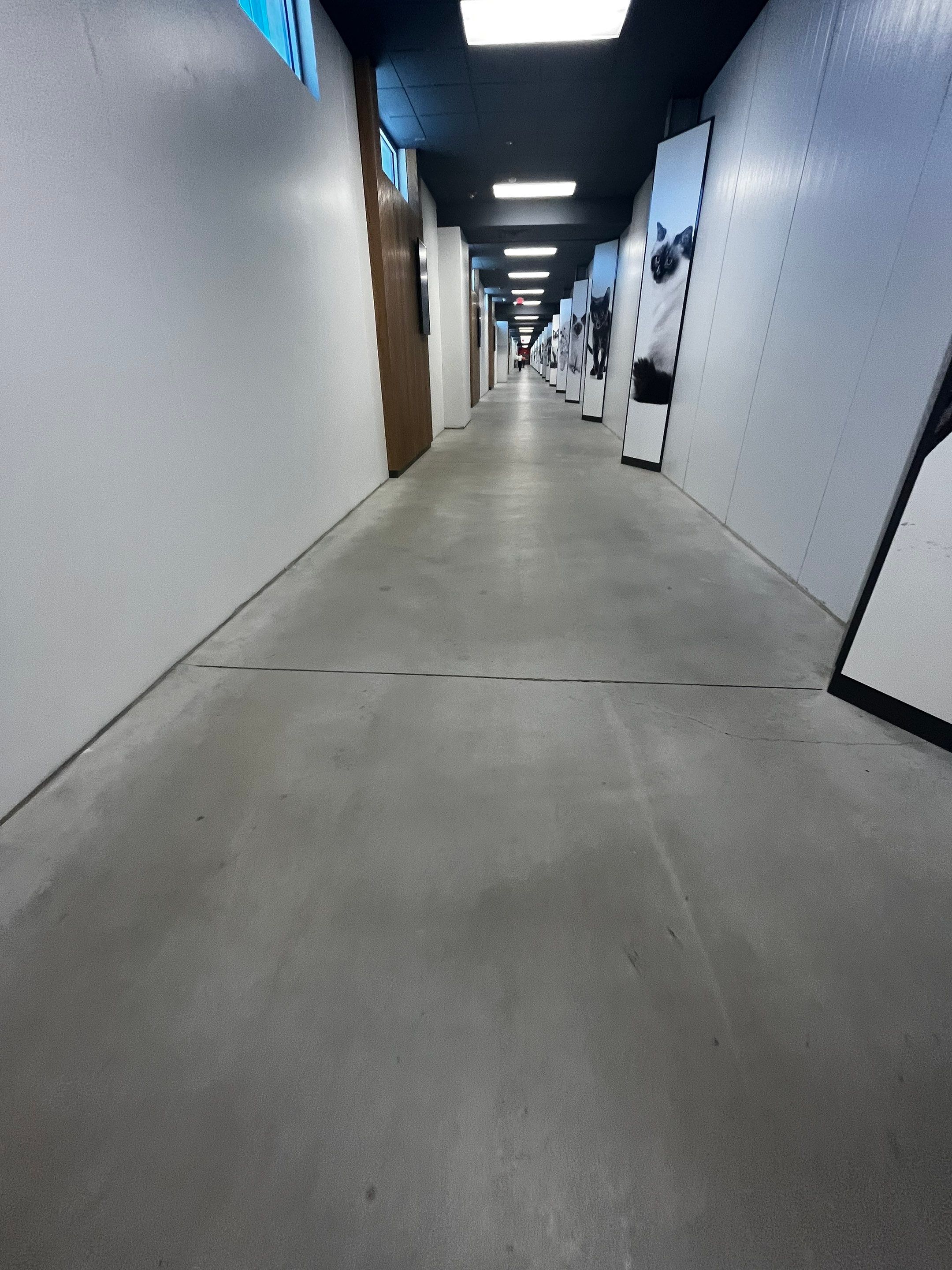 Royal Canine - Floor Renovation by Select Painting, Coatings & Garage Cabinets