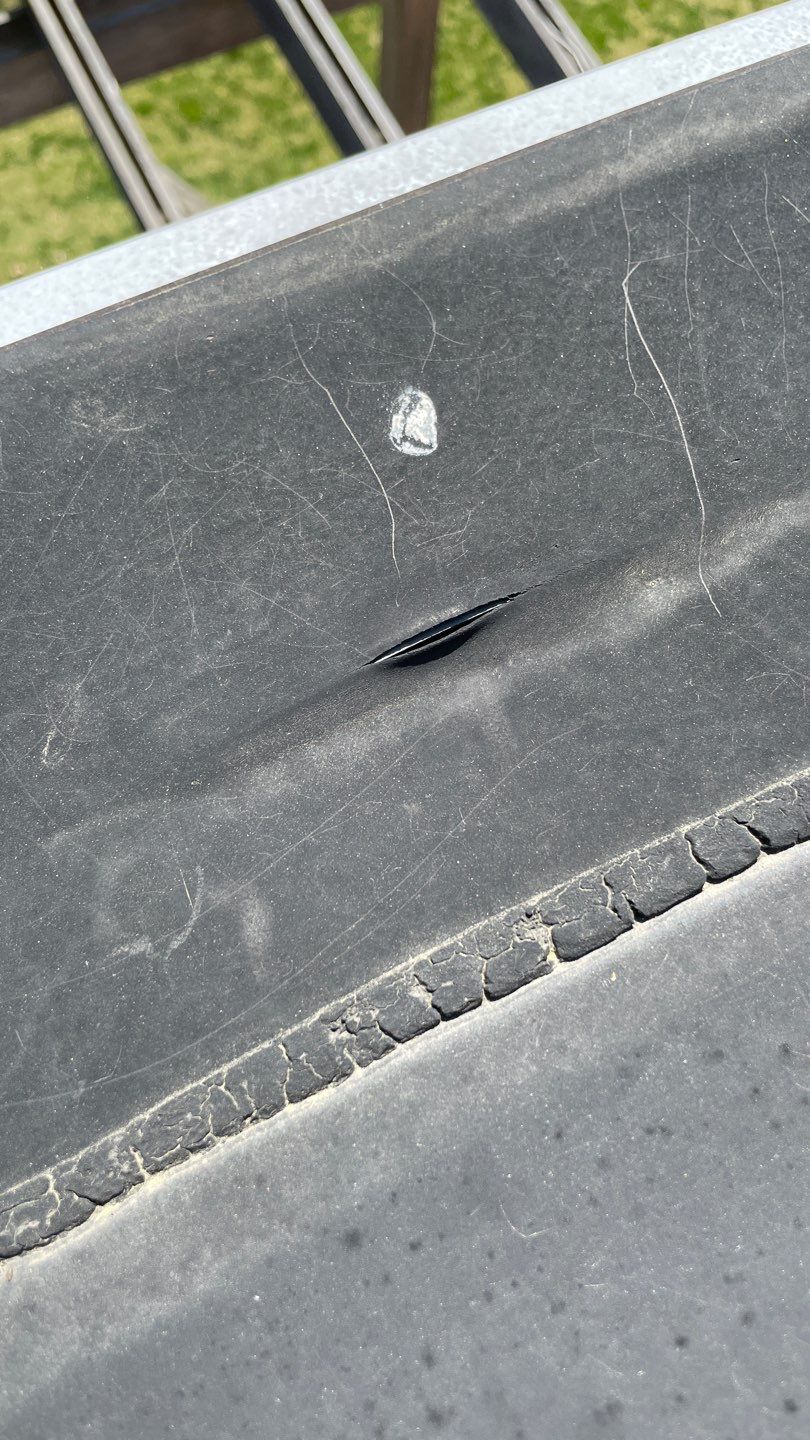 Alexandria: Mule Hide TPO Flat Roof by RM Banning, Inc.