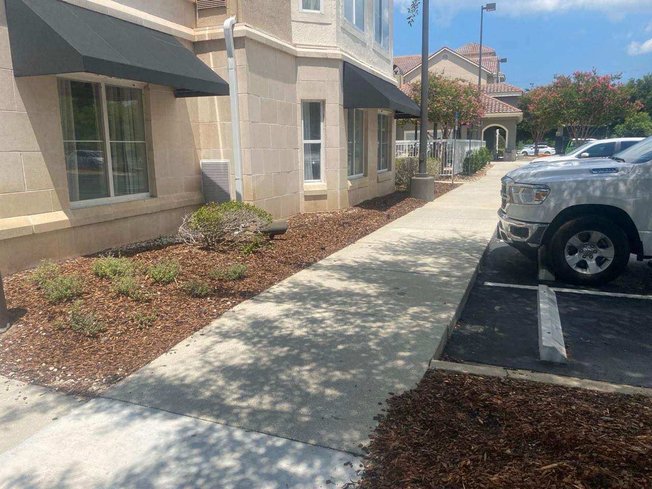 Homewood Suites | Tree Service by ProGreen Services