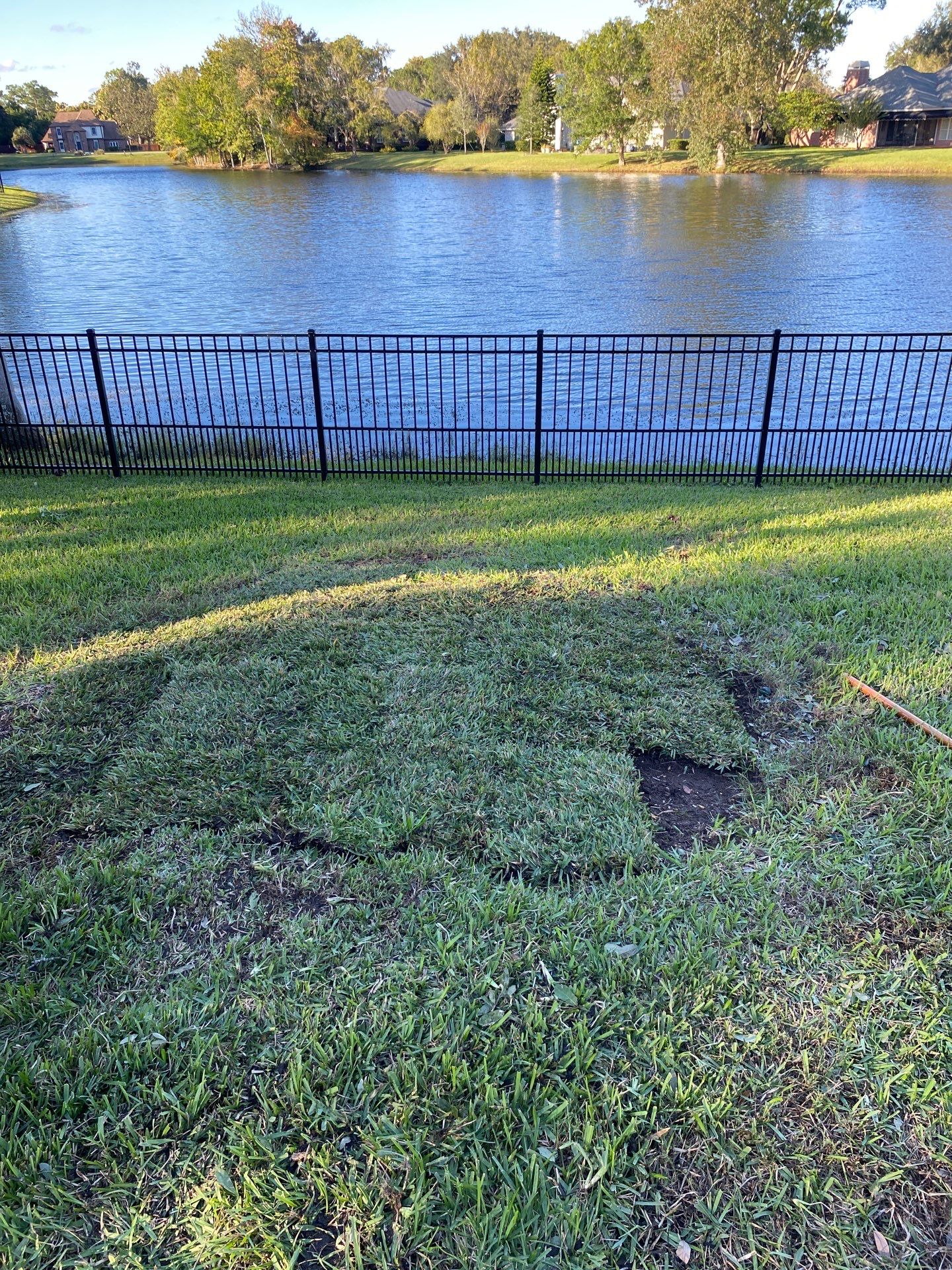 Deerwood | Tree Trimming & Sod Install | Residential by ProGreen Services