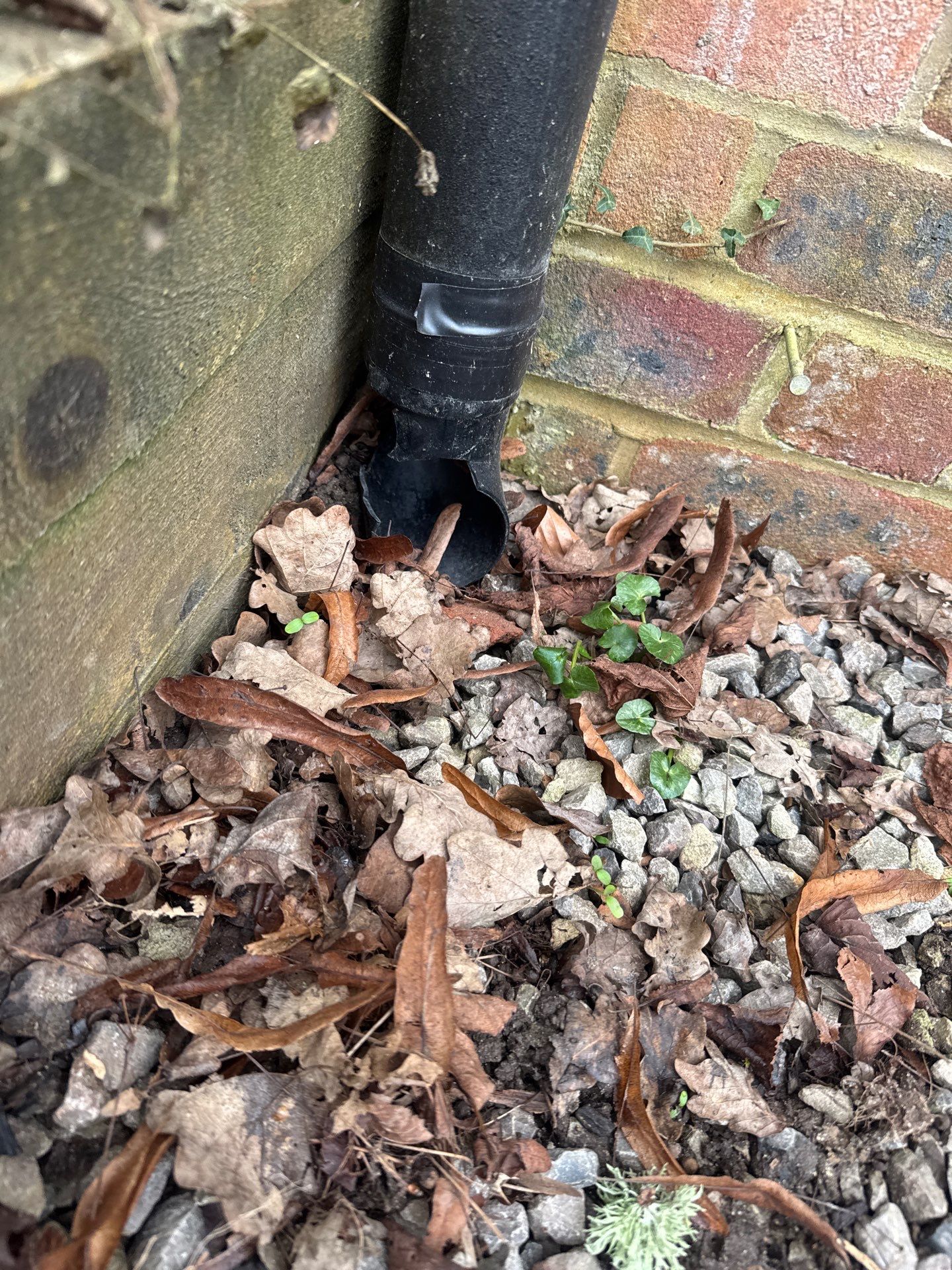 Roof Clean  - Moss Removal - Gutter Clean using Honda 15lpm Low Pressure Washing Machine by Ges Exterior Cleaning ltd