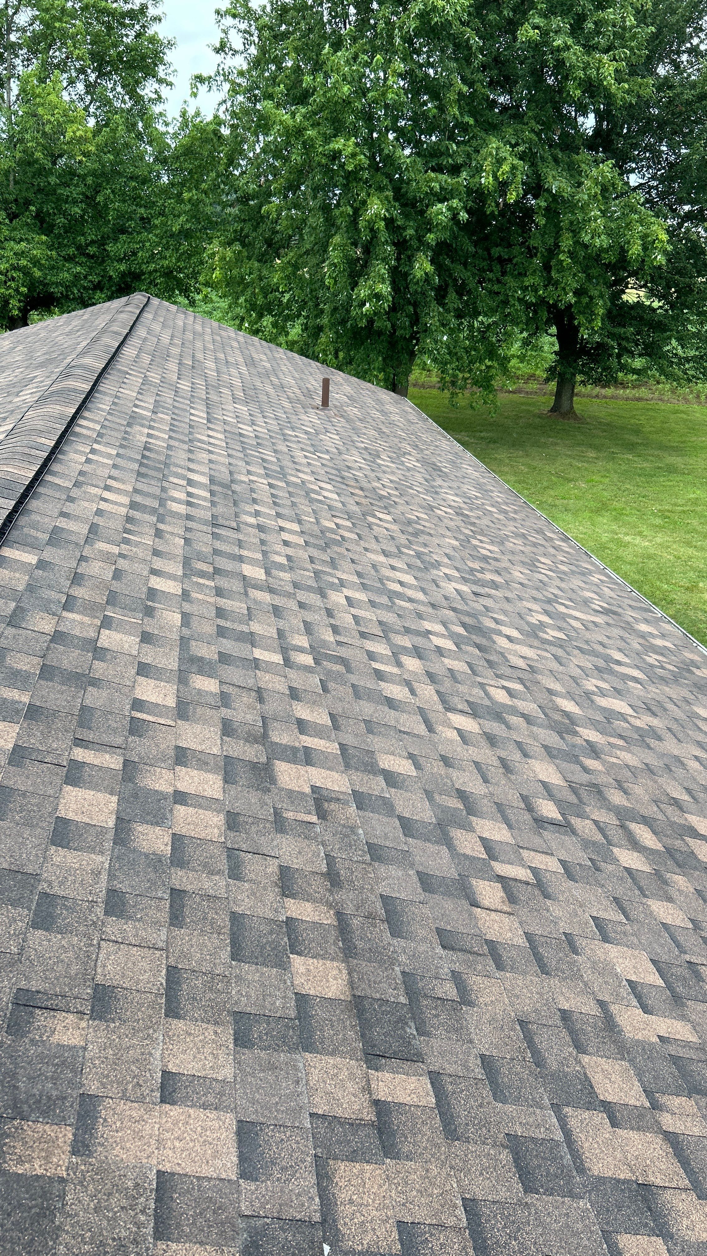 Sue Williams by Imperial Roofing and Contracting 