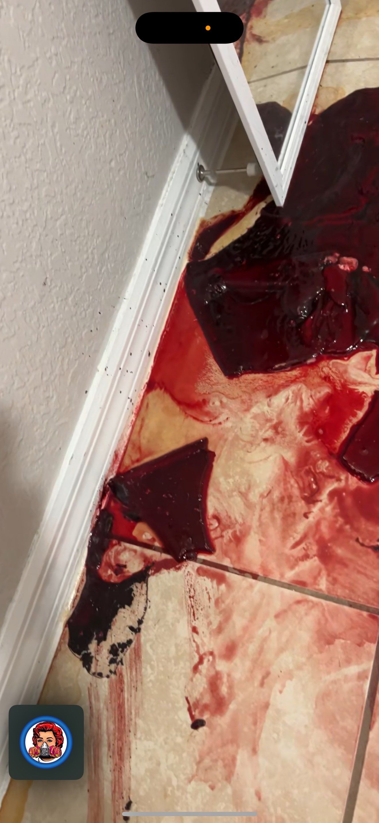 Biohazard Suicide Remediation in Port Charlotte by Sadie’s Pro Cleaning