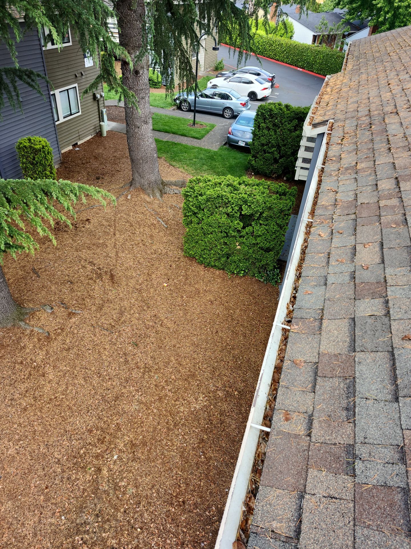 HOA gutter cleaning before photo.