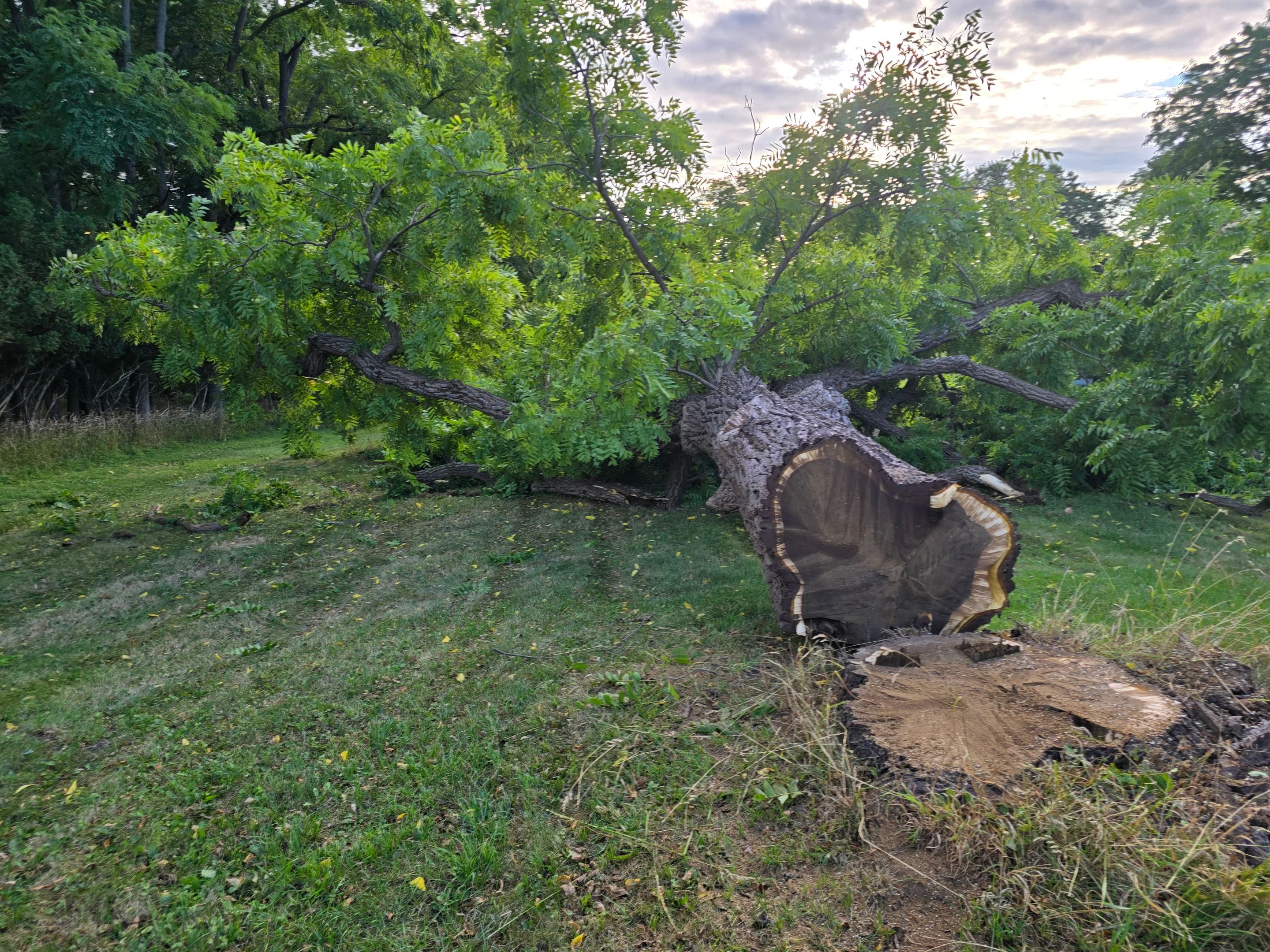 Project in Geneva by Horst Custom Homes 