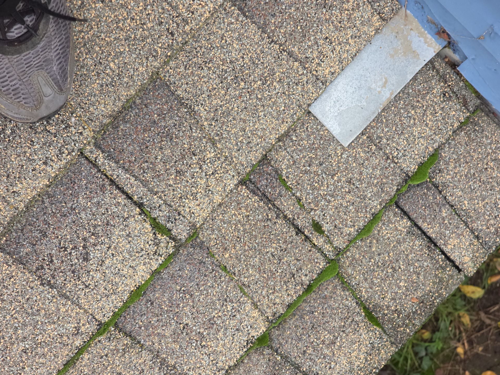 Roof Rejuvenation using Roof Maxx Treatment by Roof Maxx of Folsom