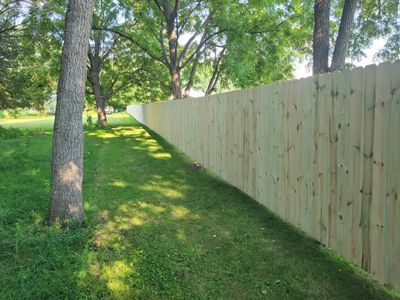Pressure-Treated Wood Privacy Fence Replacement in Cedar Falls
