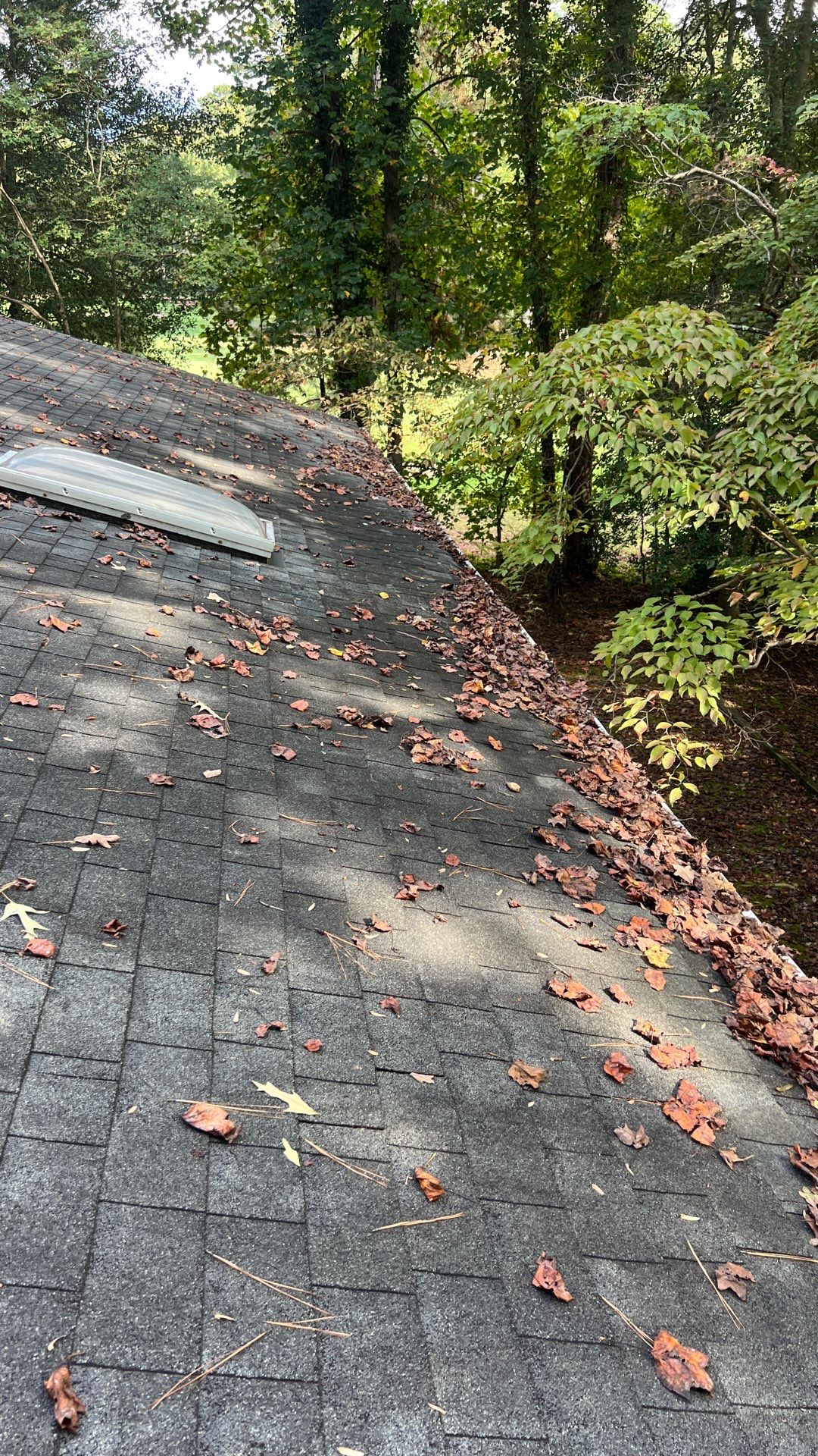 Project in Midlothian by Roof Maxx of Midlothian