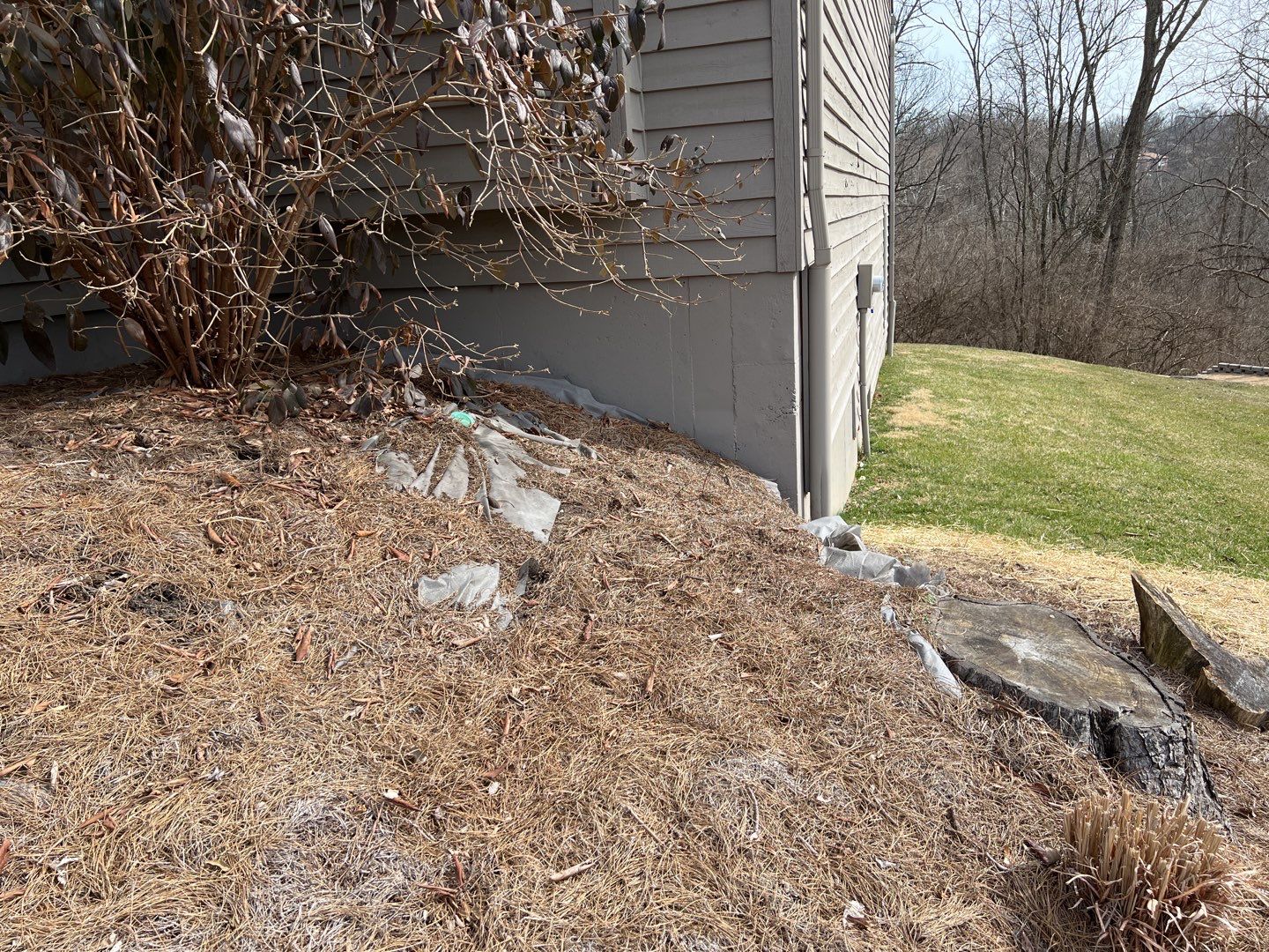 Spring Clean Up using Pine Straw by Reisenberg’s Lawn & Landscape, LLC