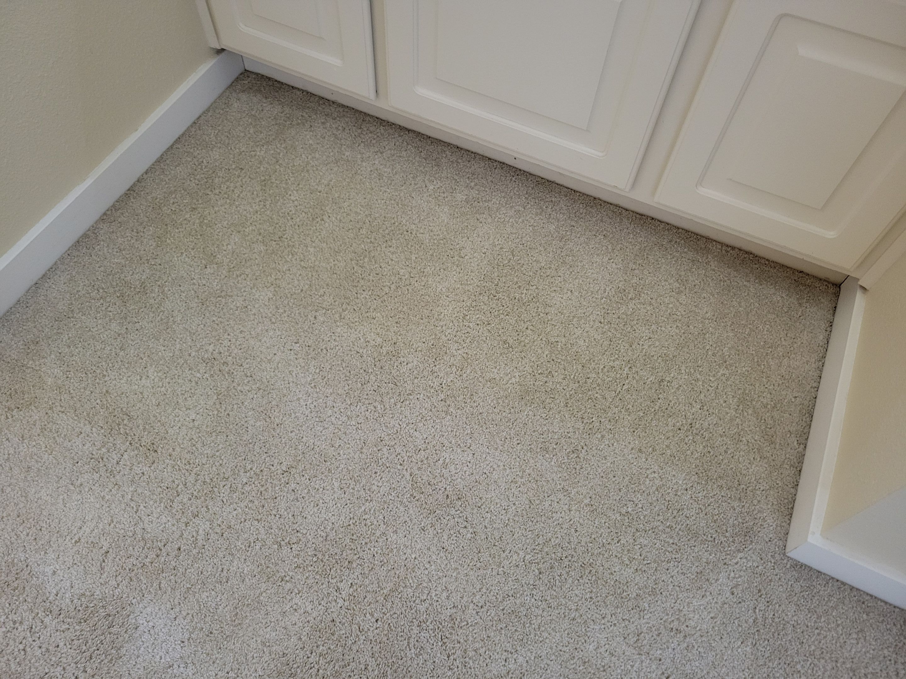 Investment Property, Carpet Cleaning by Ardent Carpet Restore LLC