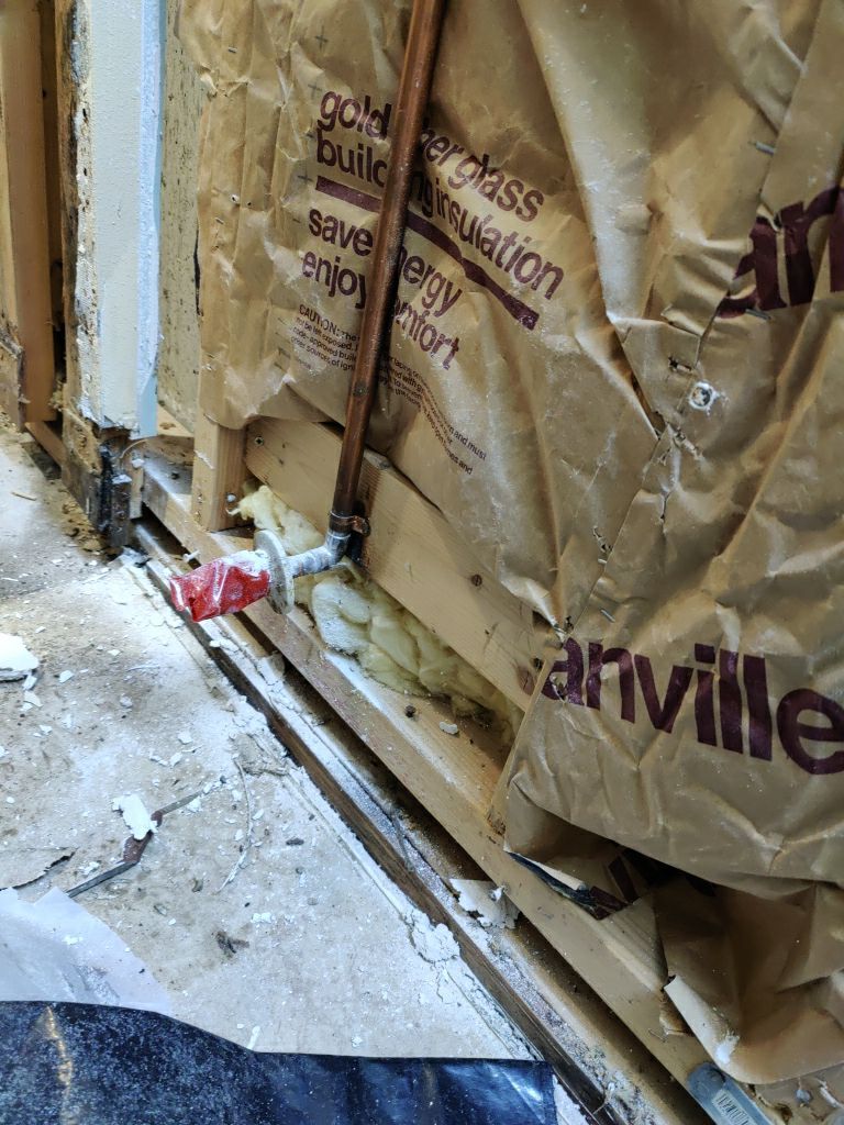 Mold Remediation by Accountable Home Services