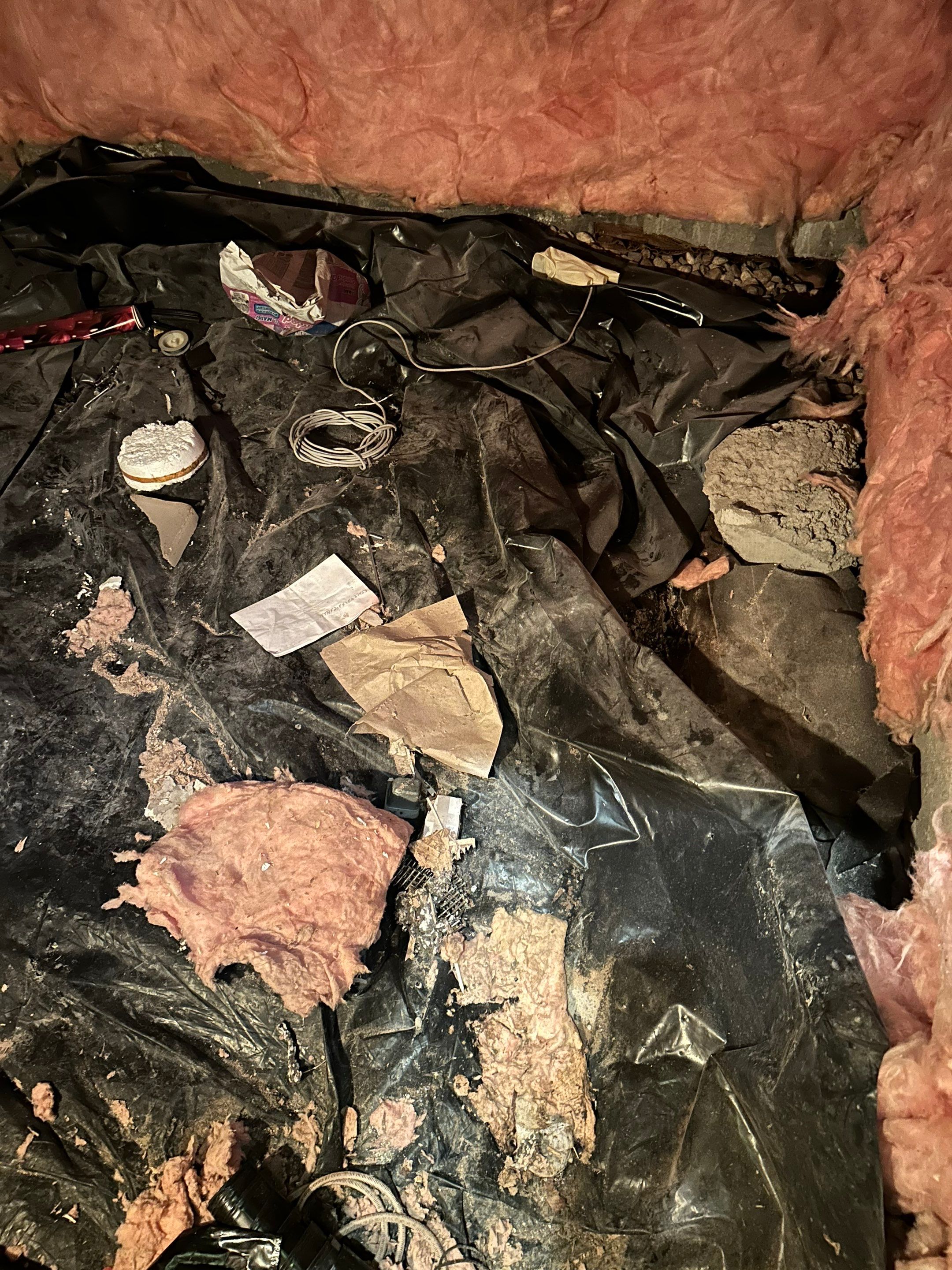 Mold Removal in Brighton, CO by Alpha Restoration 