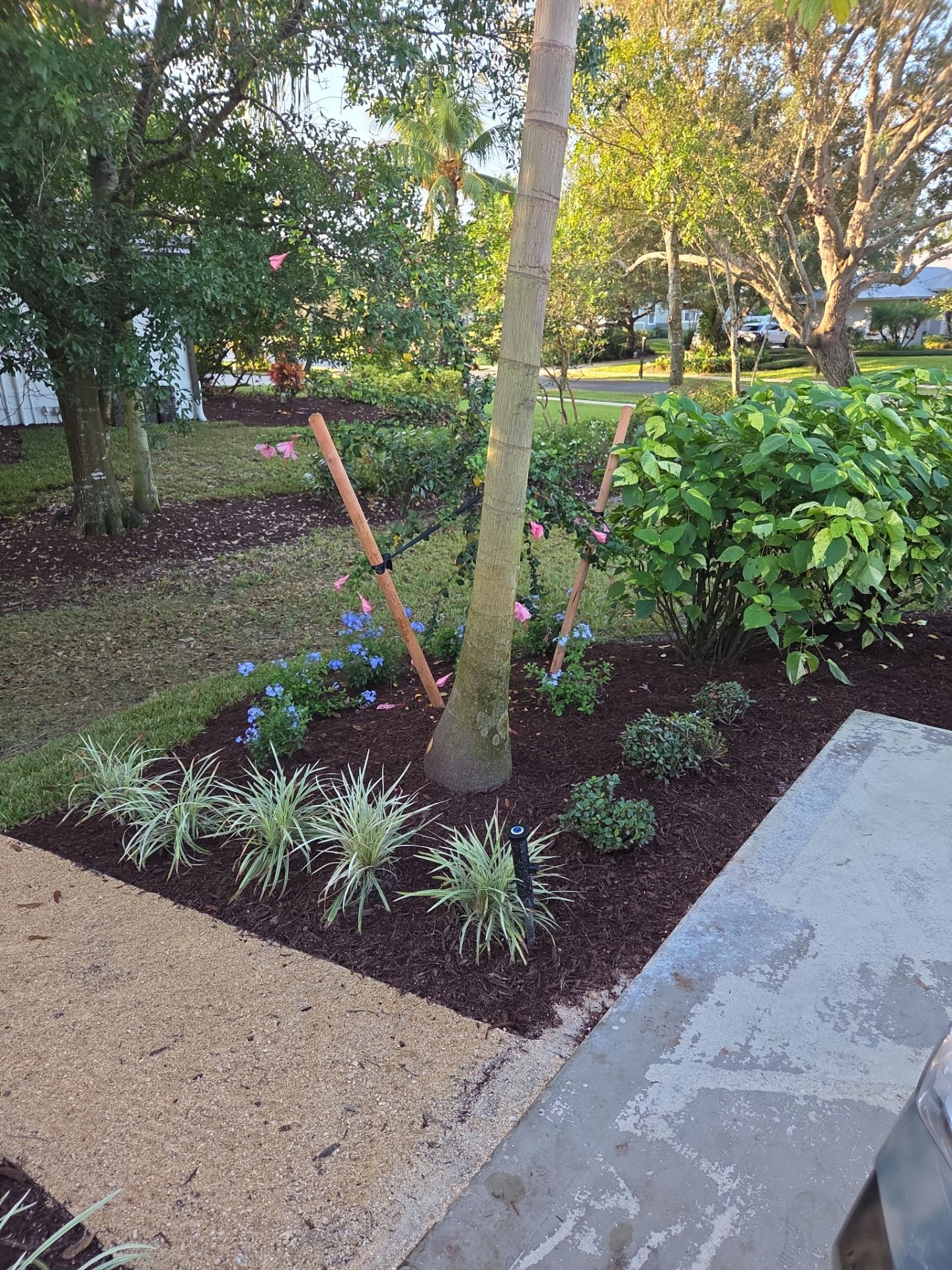 🌴 Landscape Removal and Install in Palm City by Alpha Zeta Enterprises Inc