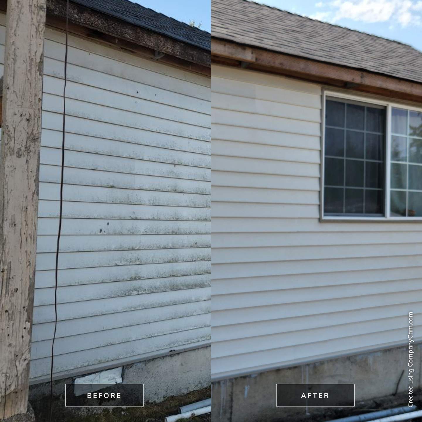 Black Mold Removal using Biocide by Willamette Outdoor Wash LLC
