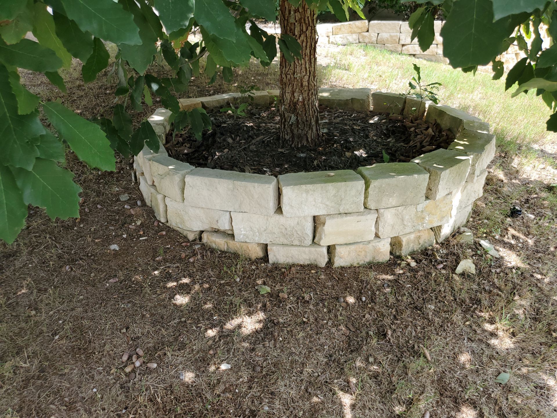 Wortham Oaks - San Antonio, TX by Hole In One Lawns, LLC