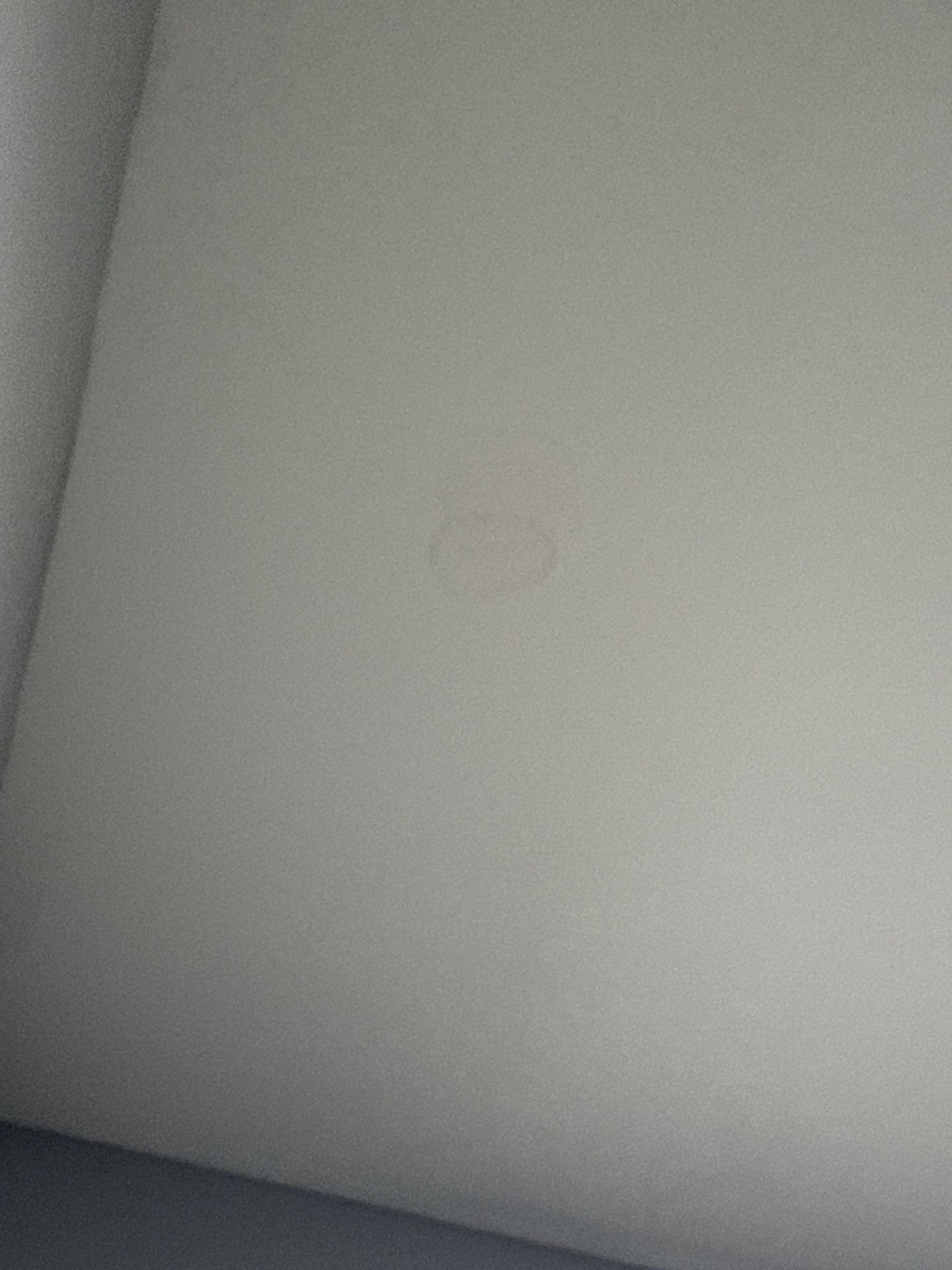 Interior Ceiling Painting & Targeted Repairs by Praise God Painting, LLC