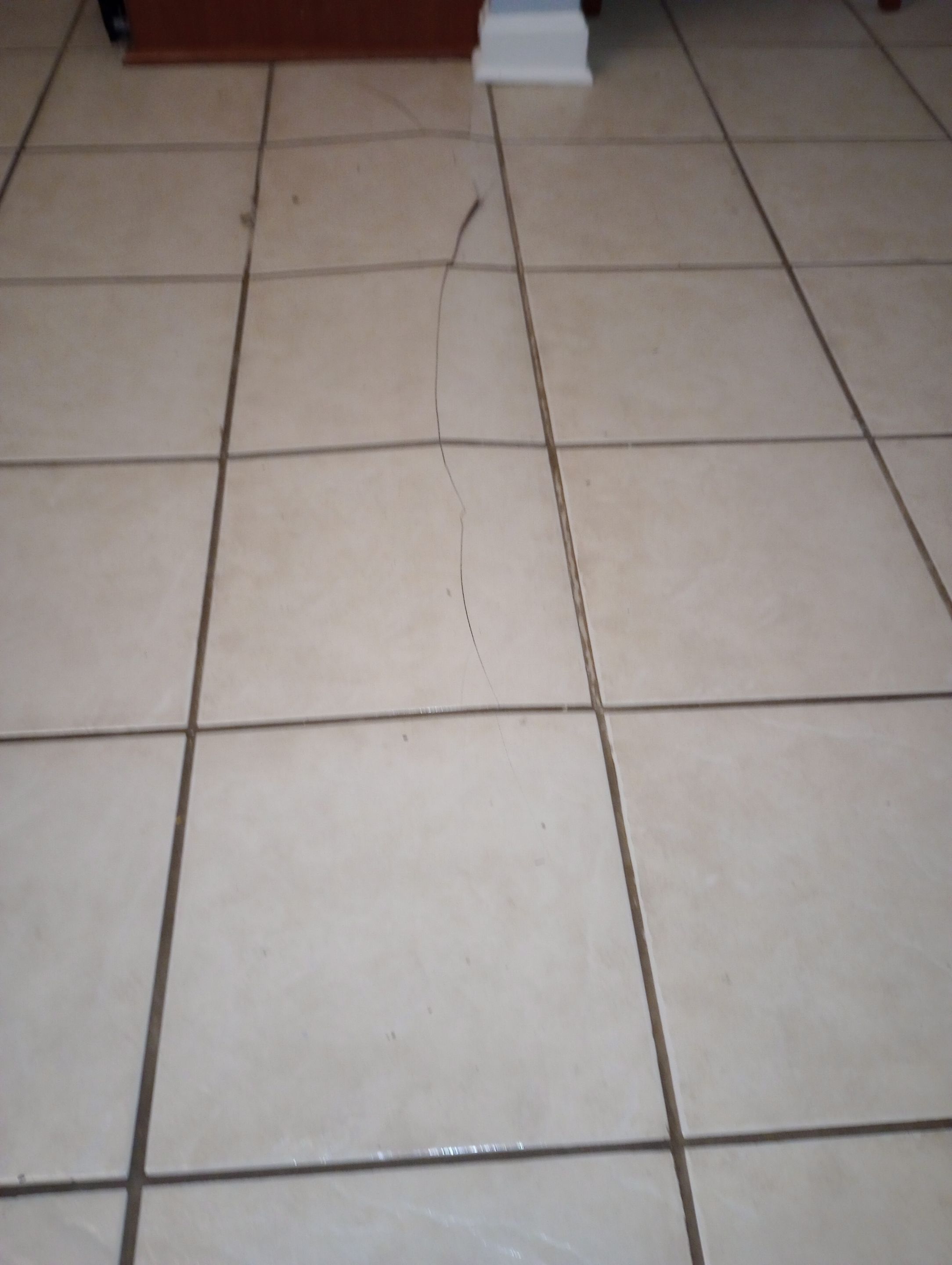 Water Damage Repairs by ANR Restoration