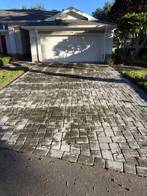 Paver Driveway and Walkway Restoration in Sun City Center
