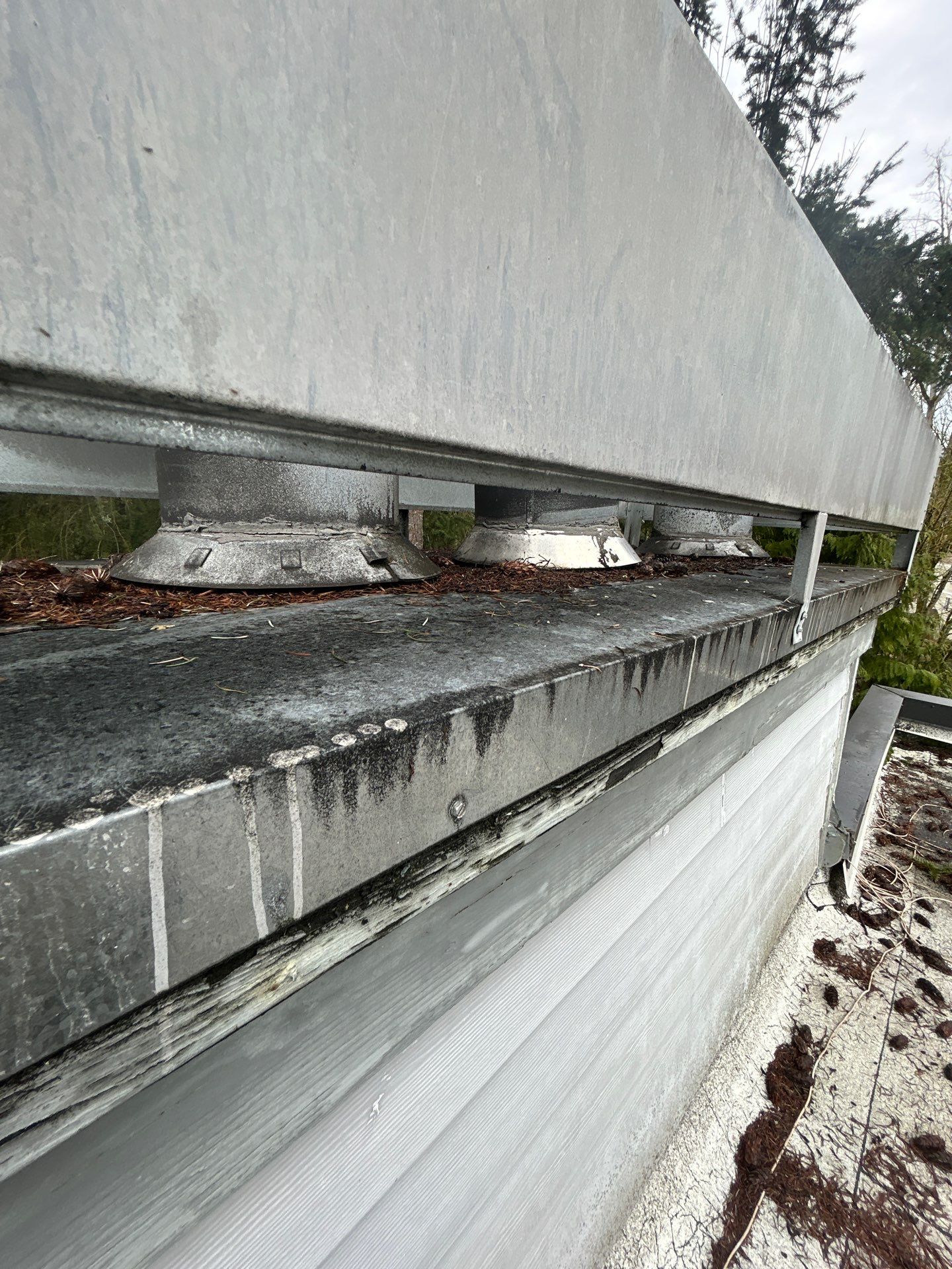 Project in Kirkland by Connolly Construction Company