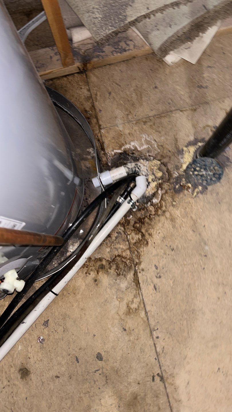 Mold Damage by Accountable Home Services