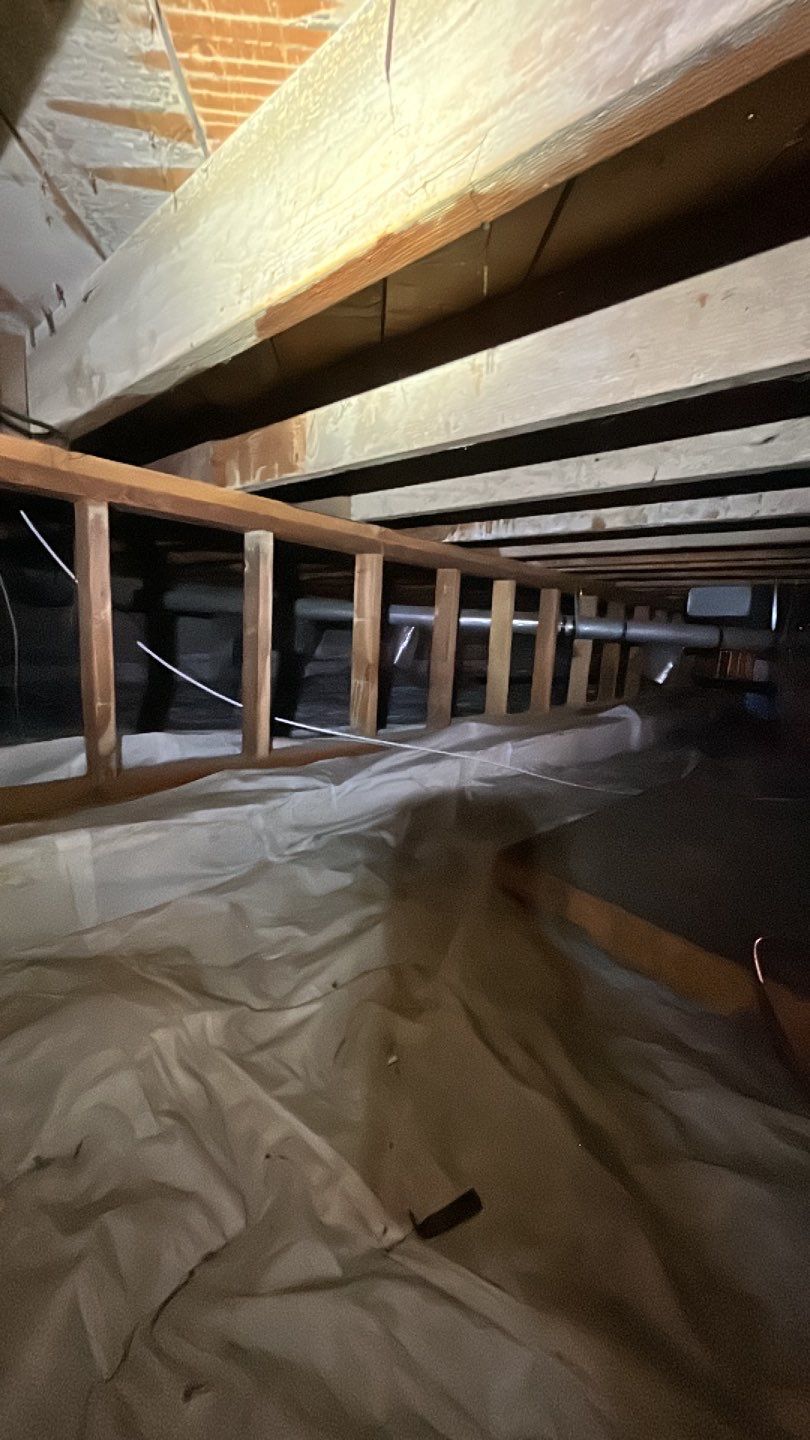 Sewage Backup by Accountable Home Services