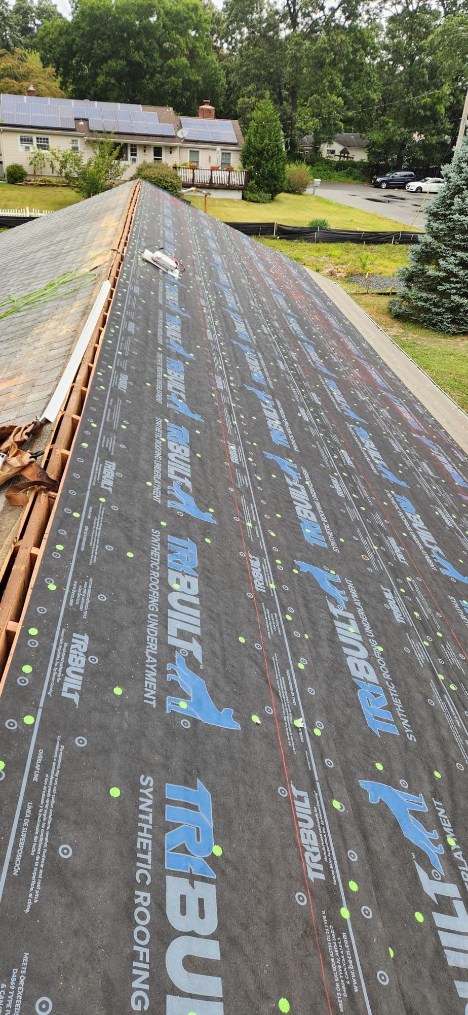 Silver Birch Shingles by Reimagine Roofing