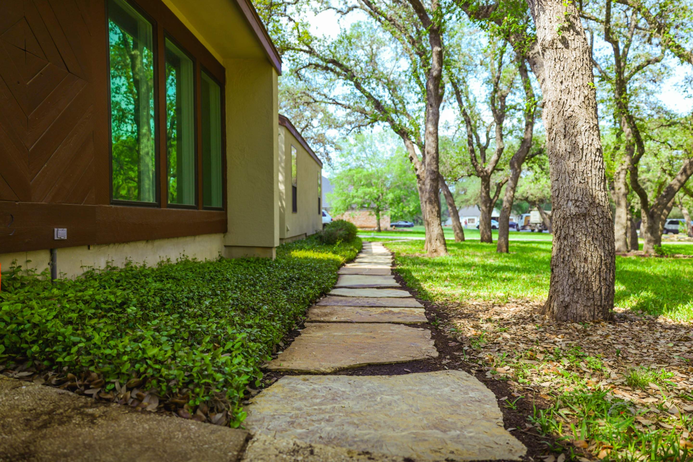 Scattered Oaks, San Antonio TX by Hole In One Lawns, LLC