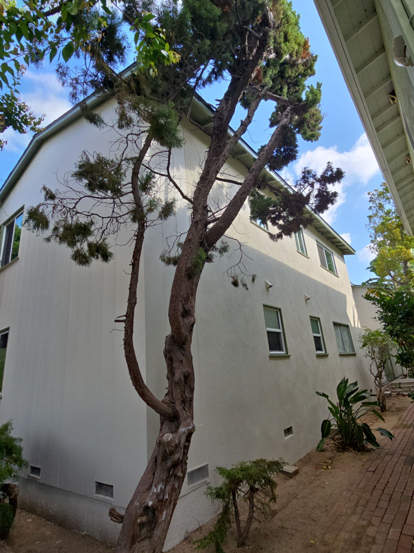 Project in Los Angeles by Insulation Labs