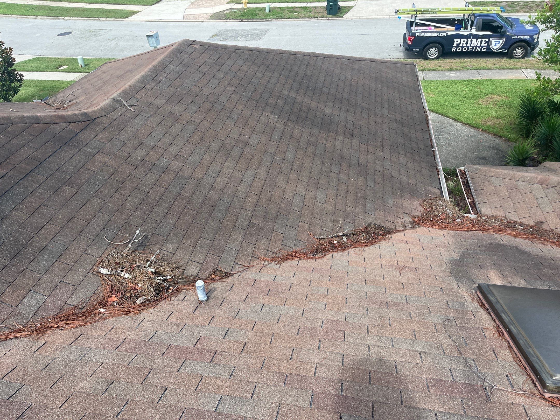 Shingle -> Shingle by Prime Roofing