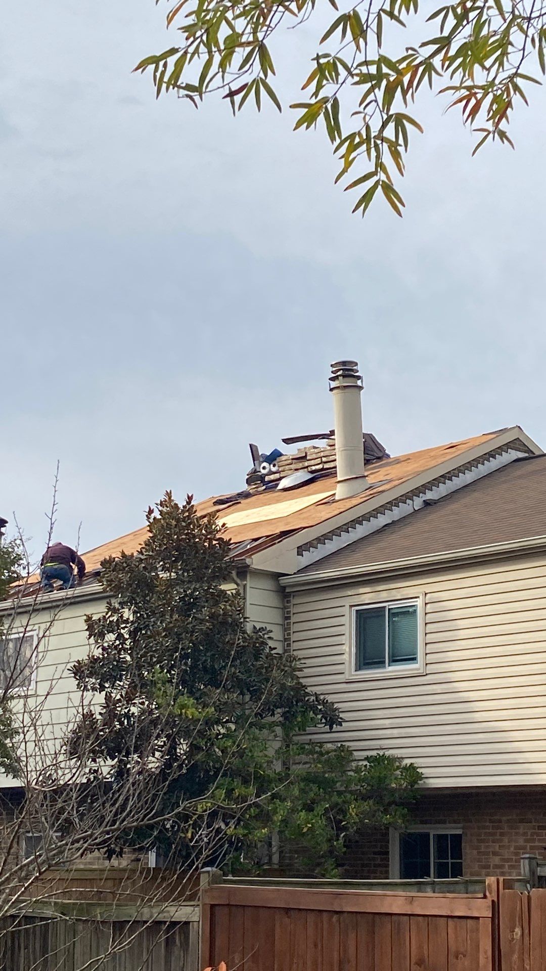 Springfield: Residential Roof Replacement with CertainTeed Landmark Pro in Max Def Burnt Sienna by RM Banning, Inc.