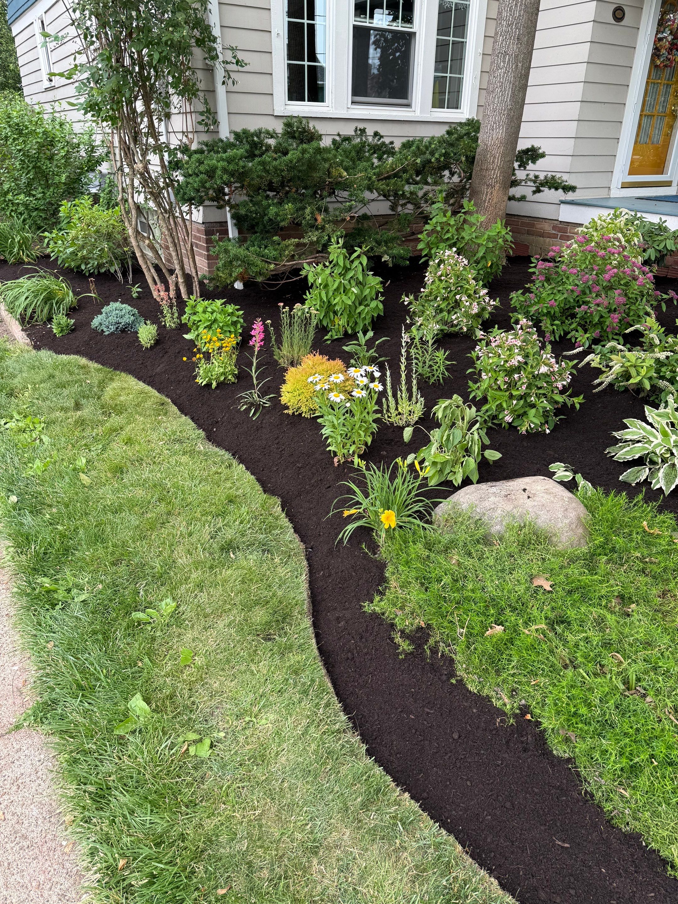 Woodland Flora Project by Elm Rose Gardens