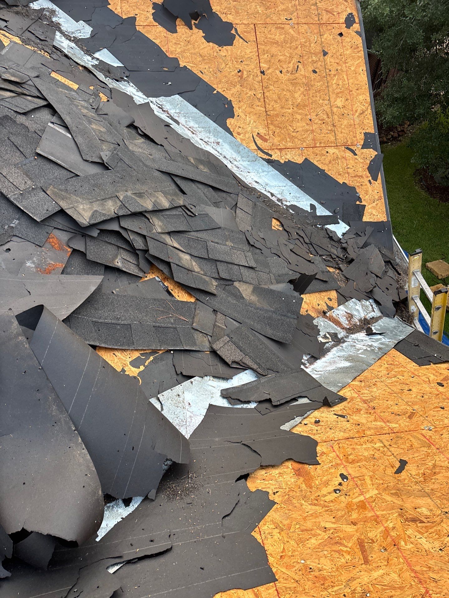 Roof Replacement Spring by Roof Repair Company