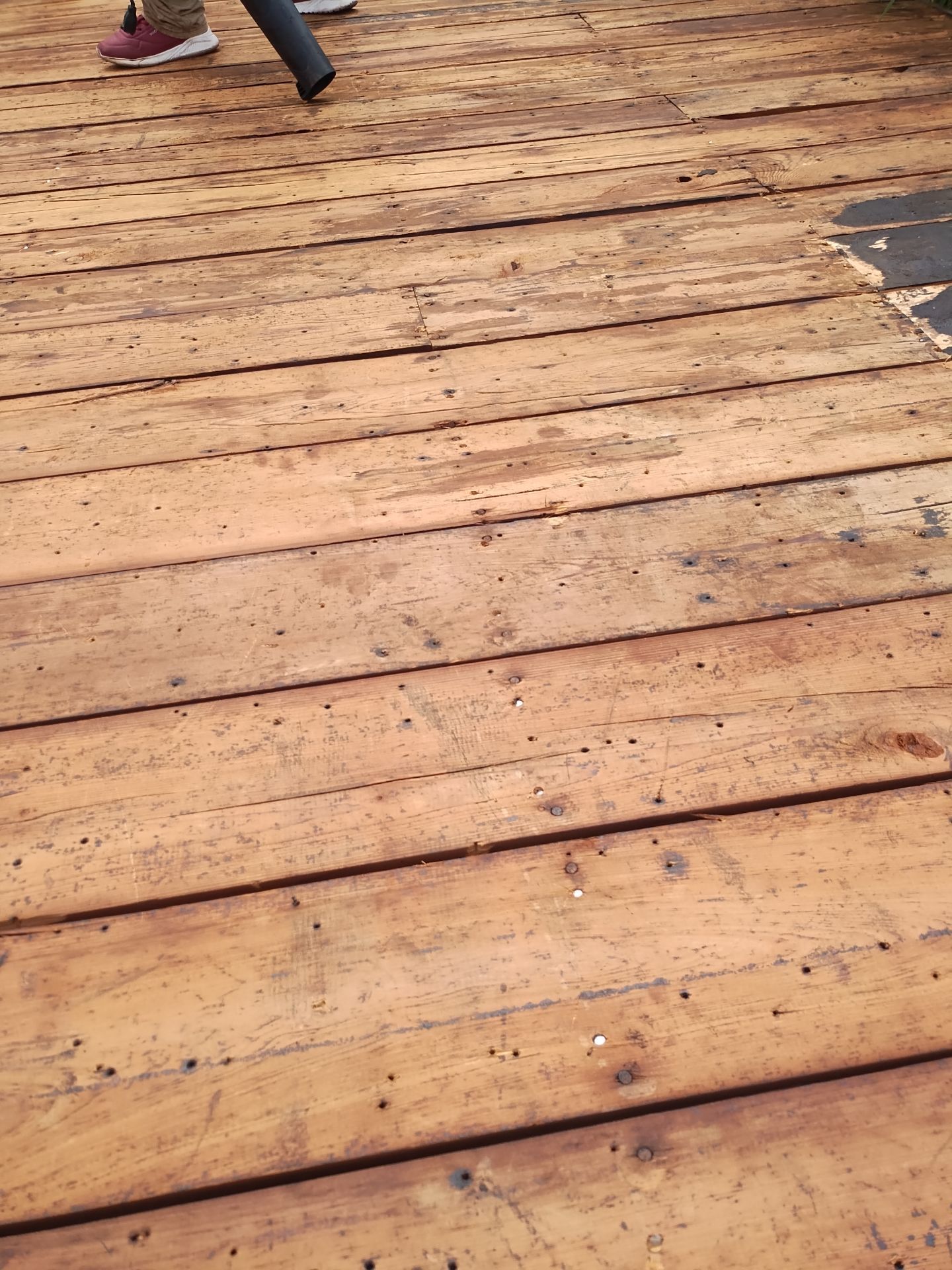 Project in St. Petersburg 33713 by Mitchell Roofing Company LLC 