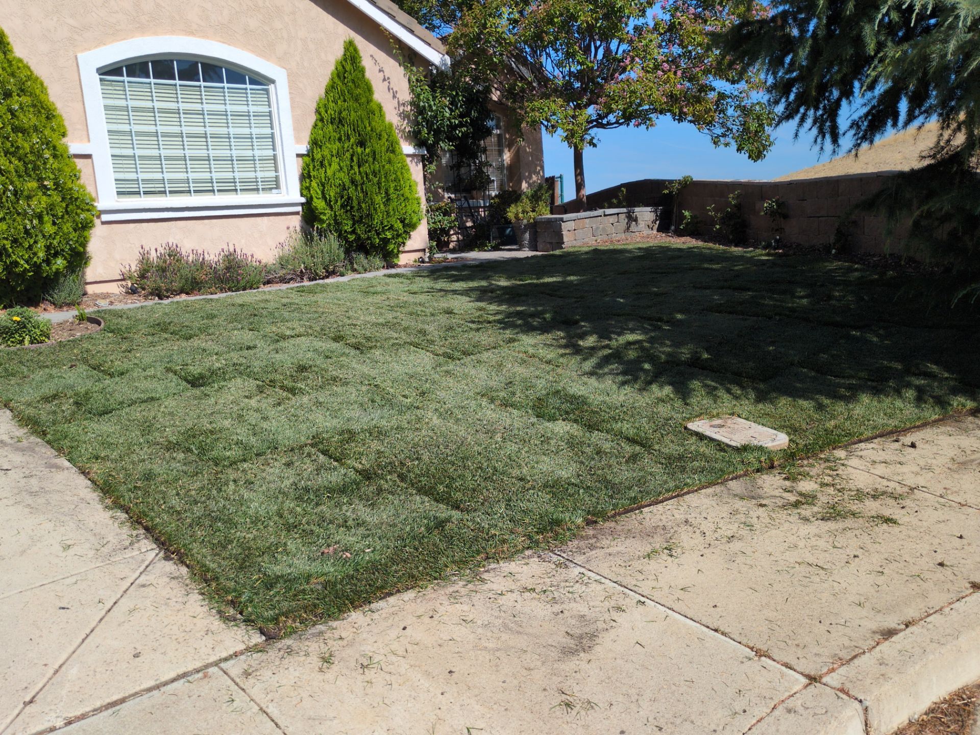 Project in Antioch by A - G Sod Farms