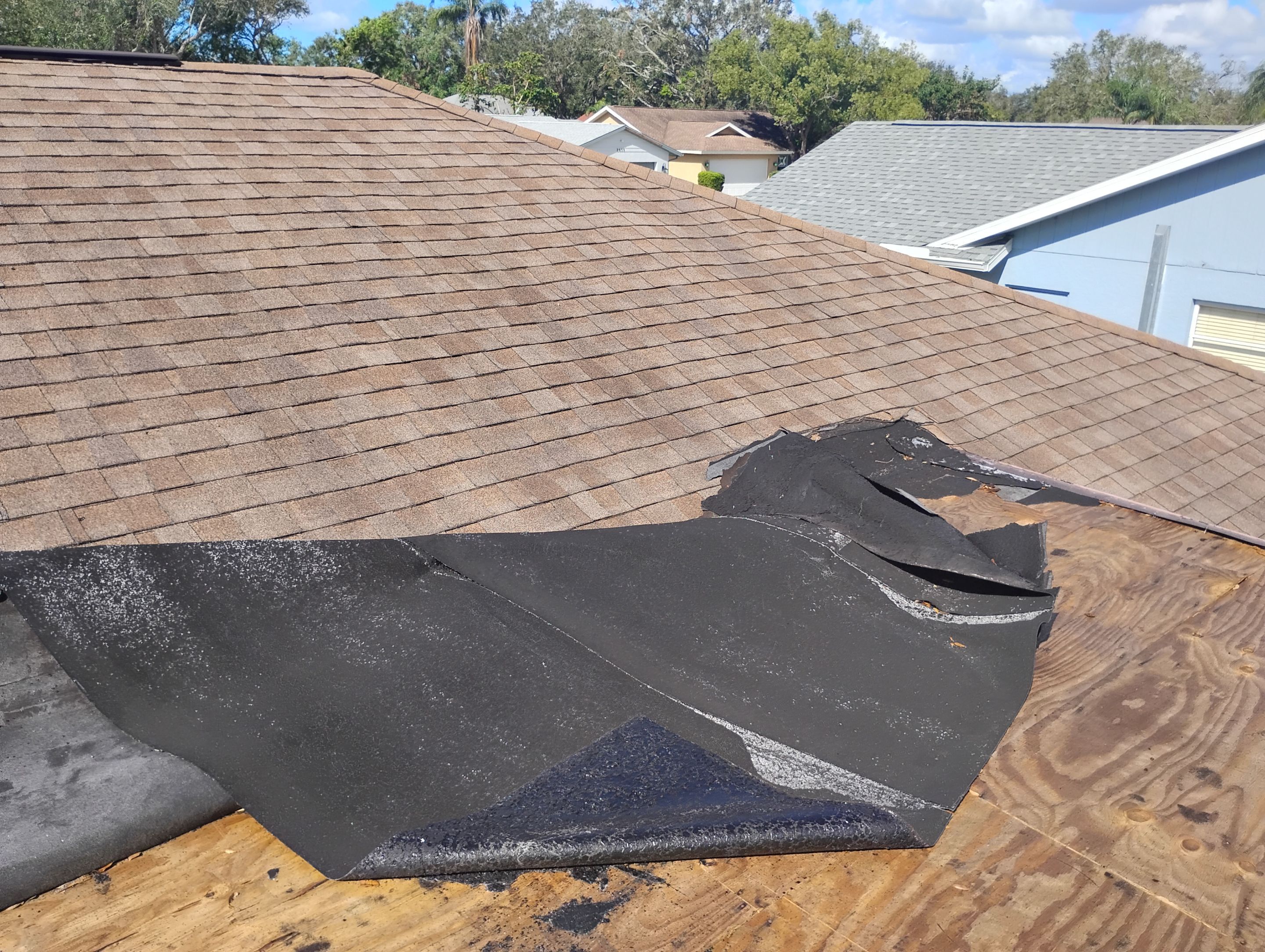 Birchwood Shingles by Reimagine Roofing