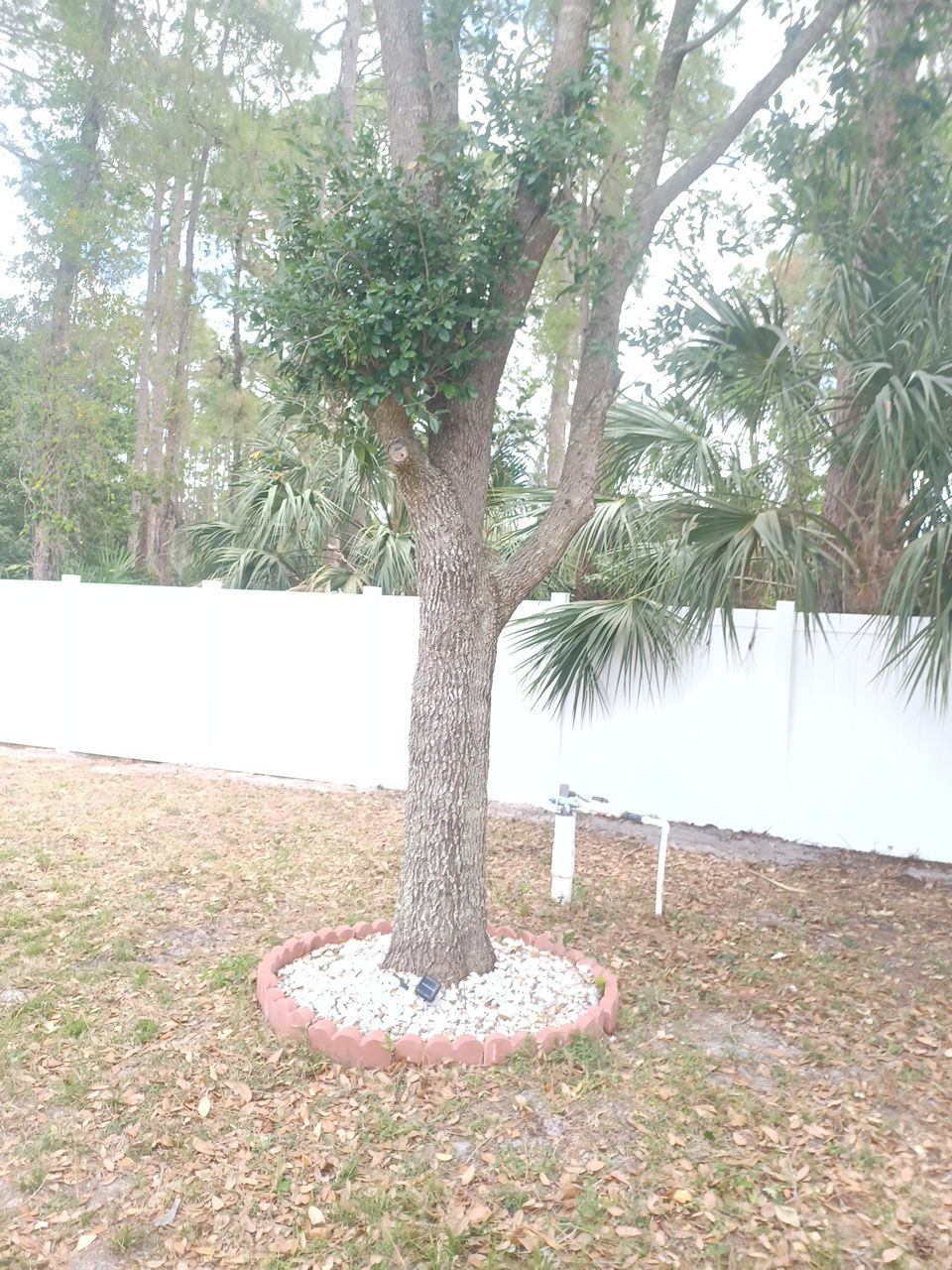 North Port, FL 6ft. Tall White Vinyl Privacy Fence by Asap fence and gates, LLC