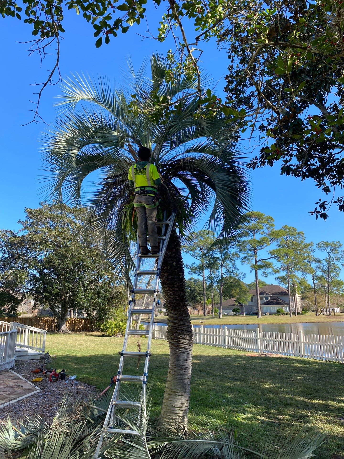 Deerwood Resident | Tree Removal & Palm Trimming by ProGreen Services