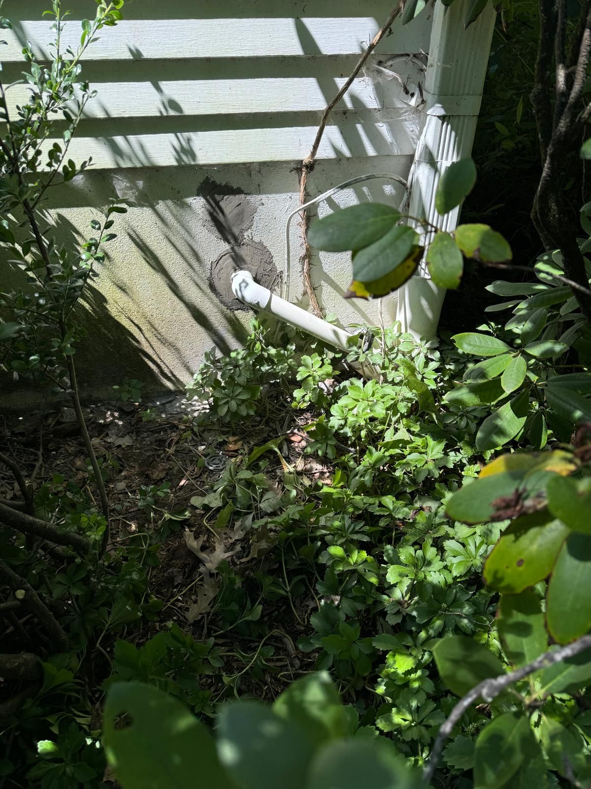 Interior French Drain Basking Ridge NJ by Pure Service Pro, LLC 