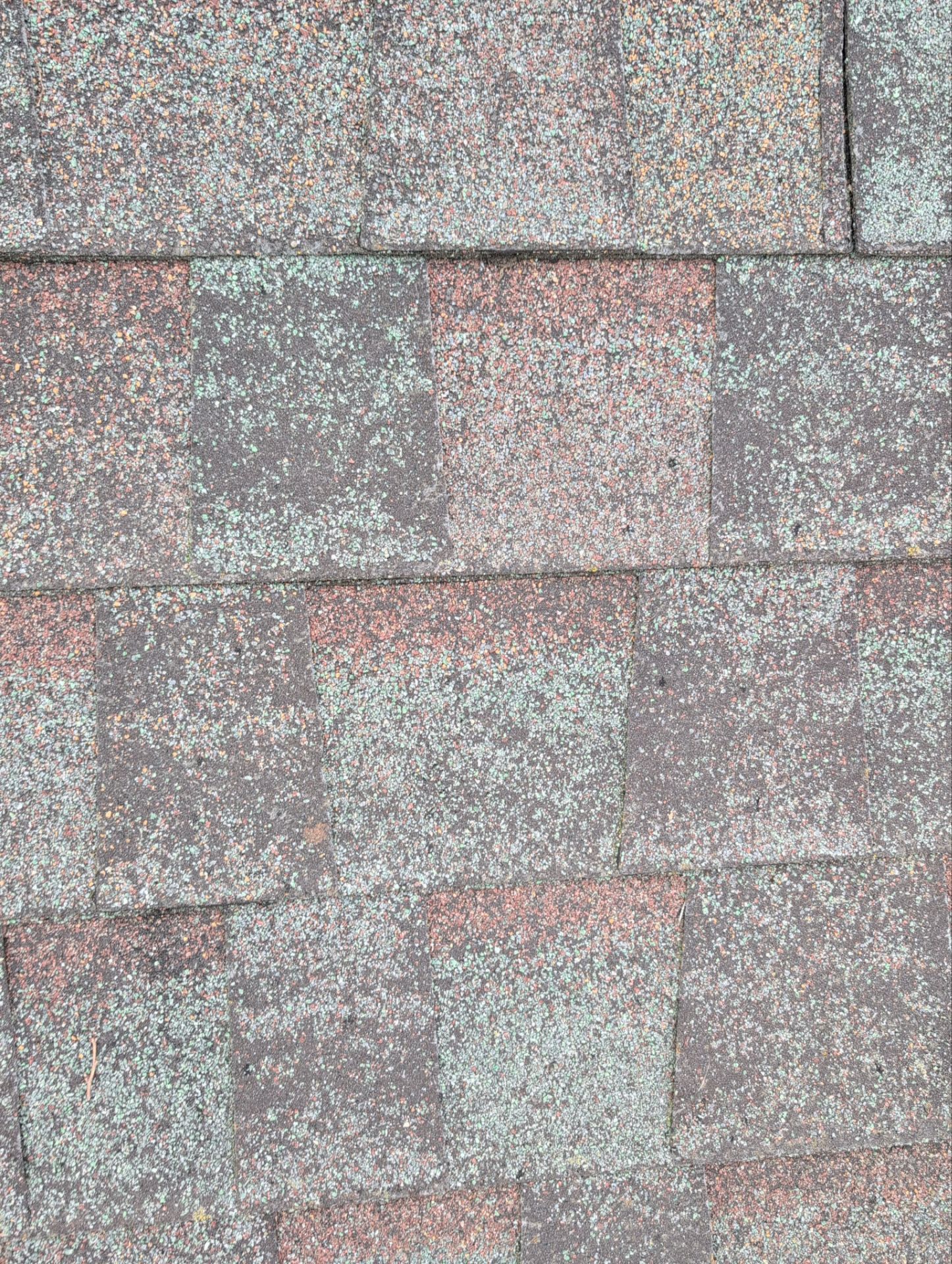 Roof Replacement in Nixa by Table Rock Design + Build