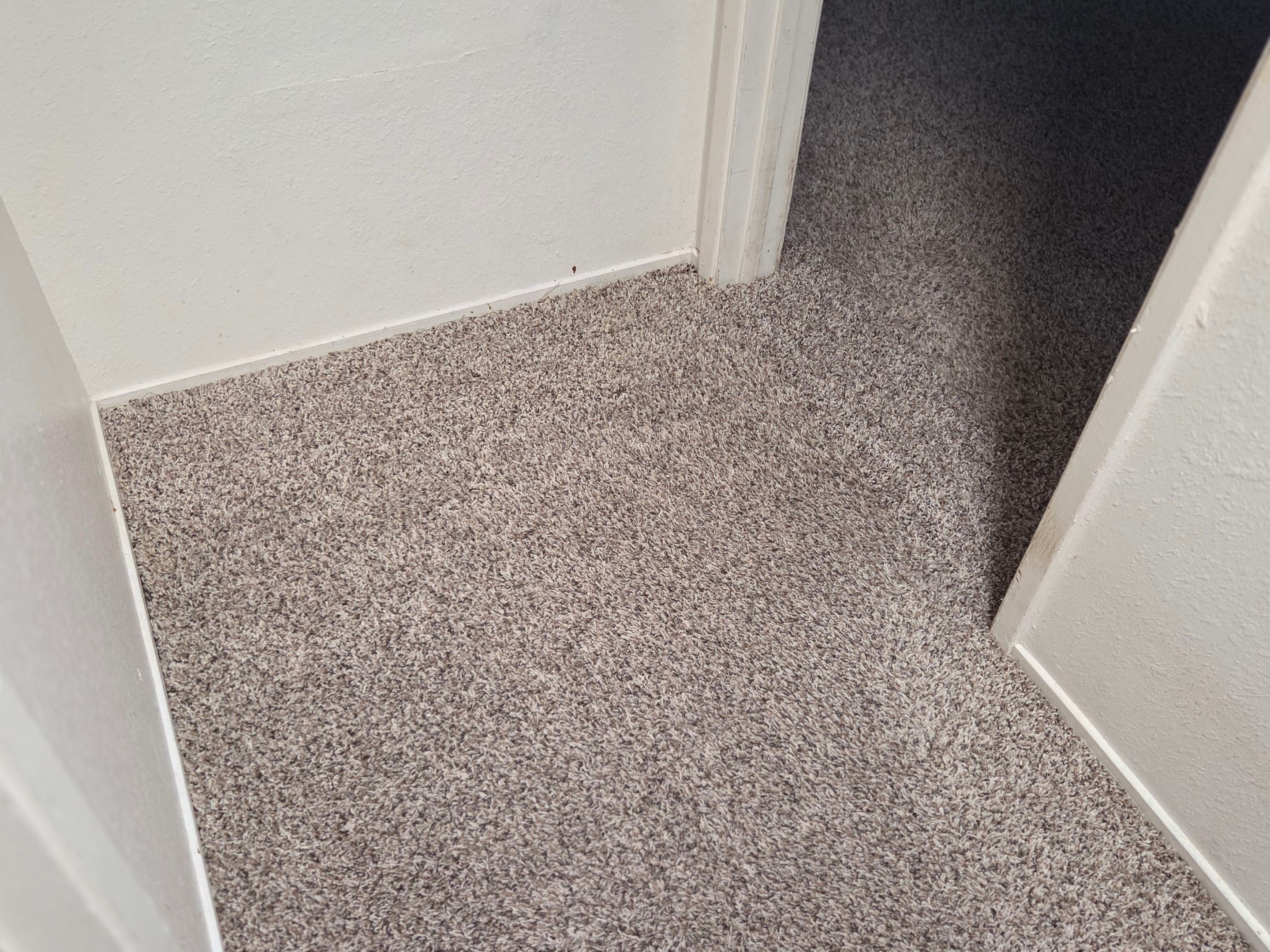 Move-Out Carpet Repairs & Carpet Cleaning by Ardent Carpet Restore LLC
