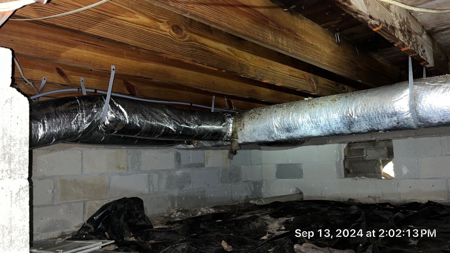 Limited Mold Remediation by EAS Environmental, LLC.