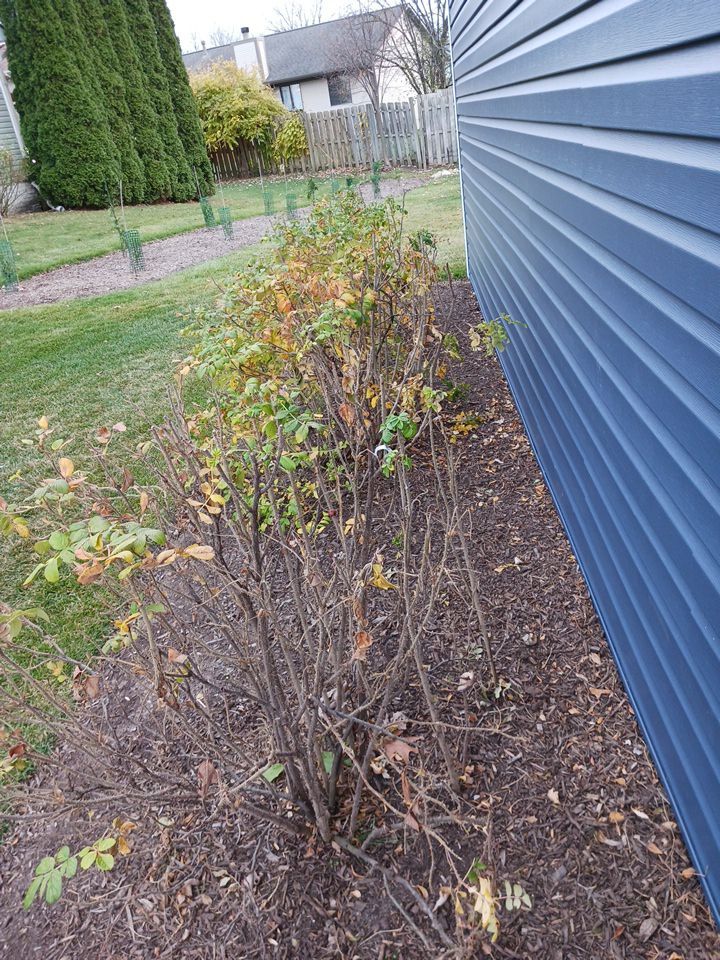 Siding Replacement using CertainTeed Restoration Classis D4 by 180 Contractors