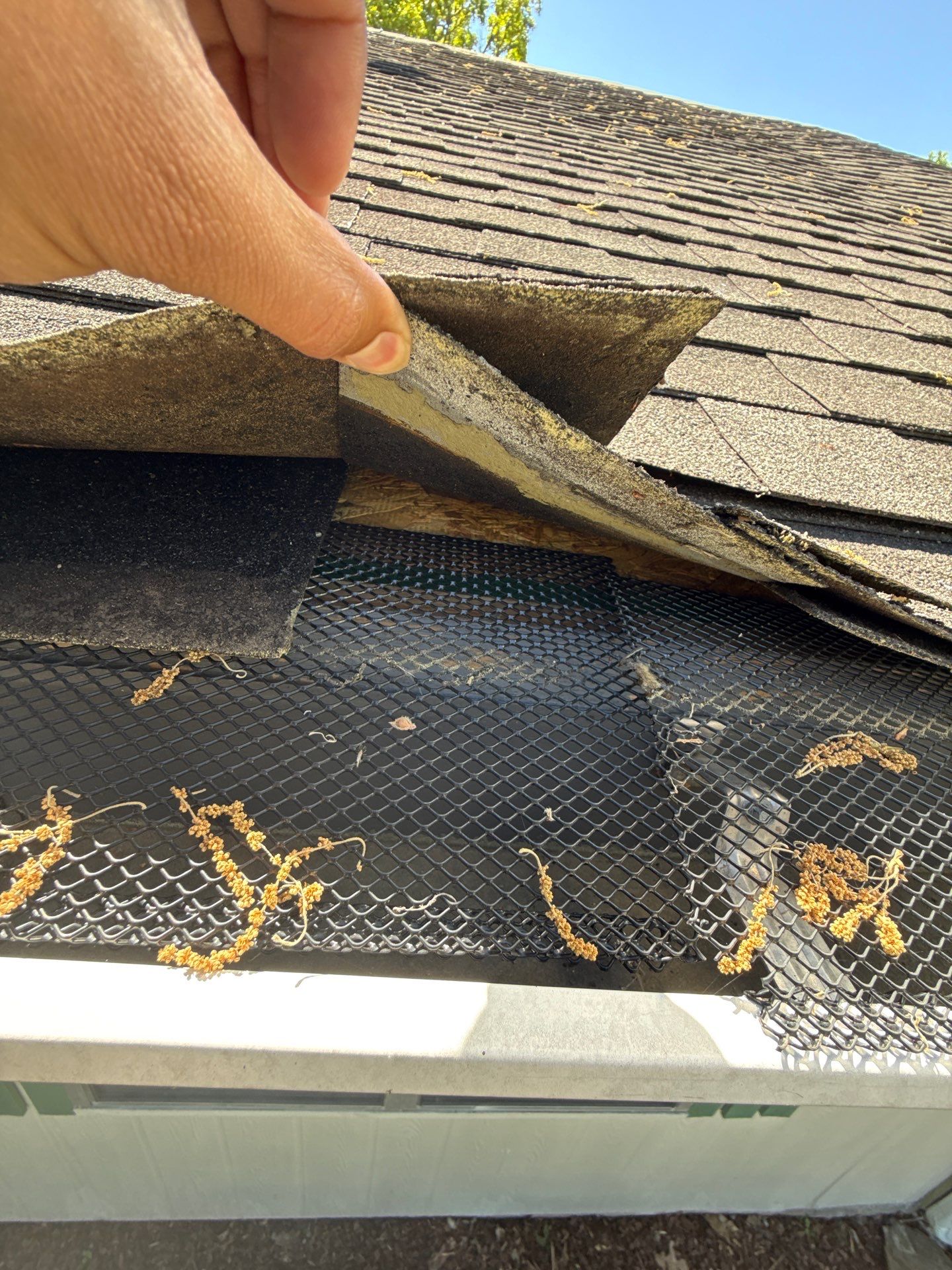 Shasta White TruDef Owens Corning Shingles by In & Out Construction & Remodeling, LLC
