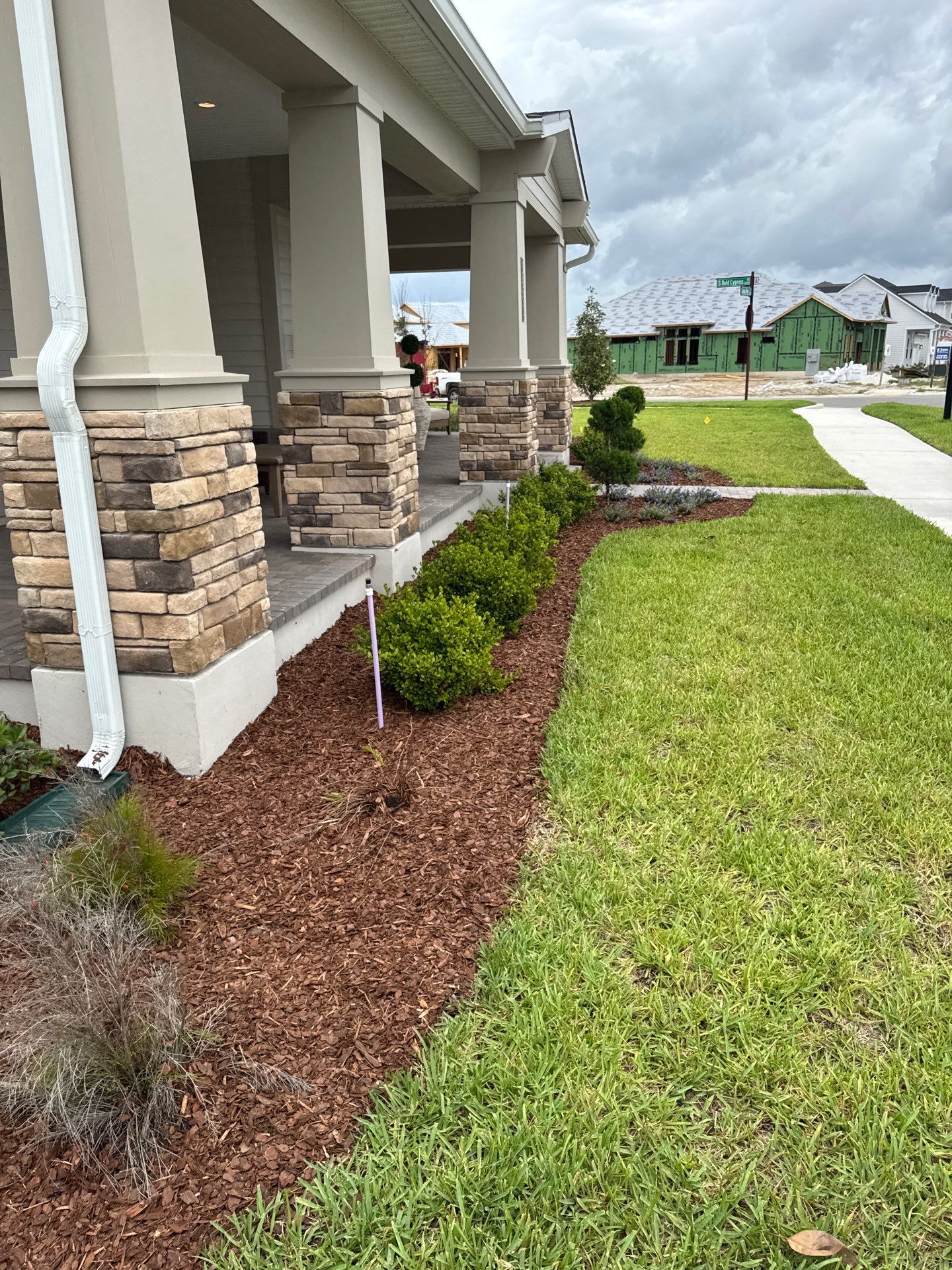 Residential | Sod Install by ProGreen Services