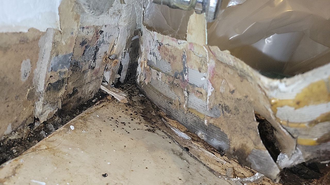 Water Damage by Accountable Home Services